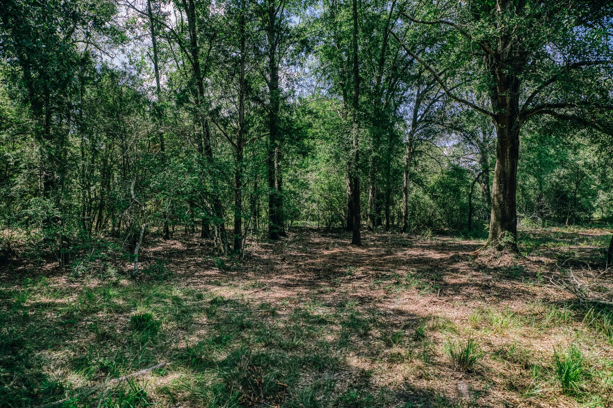 Improved Land For Sale in Limestone County , 00 FM 39, Mexia, Texas 76667, 0, 0, Garage spaces, 0 Sqft, built in 0, mls#21396239, Real Estate Agent in Mexia, Homes For Sale in Limestone county, Homes For Sale in Mexia, Realtor in Mexia Texas, Real Estate Brokerage Independent Realty Texas, Luminita Cordes Realtor