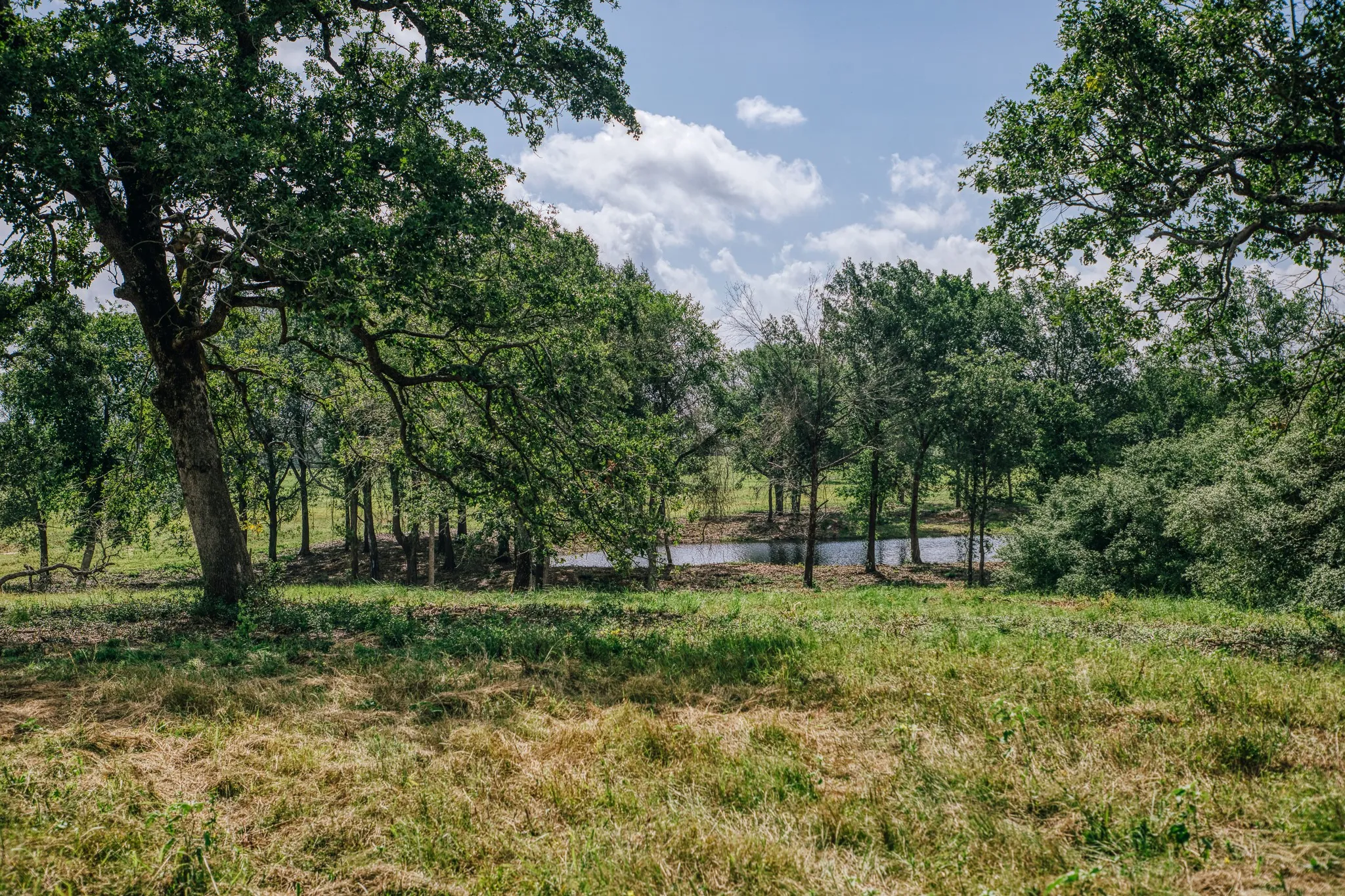 Improved Land For Sale in Limestone County , 00 FM 39, Mexia, Texas 76667, 0, 0, Garage spaces, 0 Sqft, built in 0, mls#21396239, Real Estate Agent in Mexia, Homes For Sale in Limestone county, Homes For Sale in Mexia, Realtor in Mexia Texas, Real Estate Brokerage Independent Realty Texas, Luminita Cordes Realtor