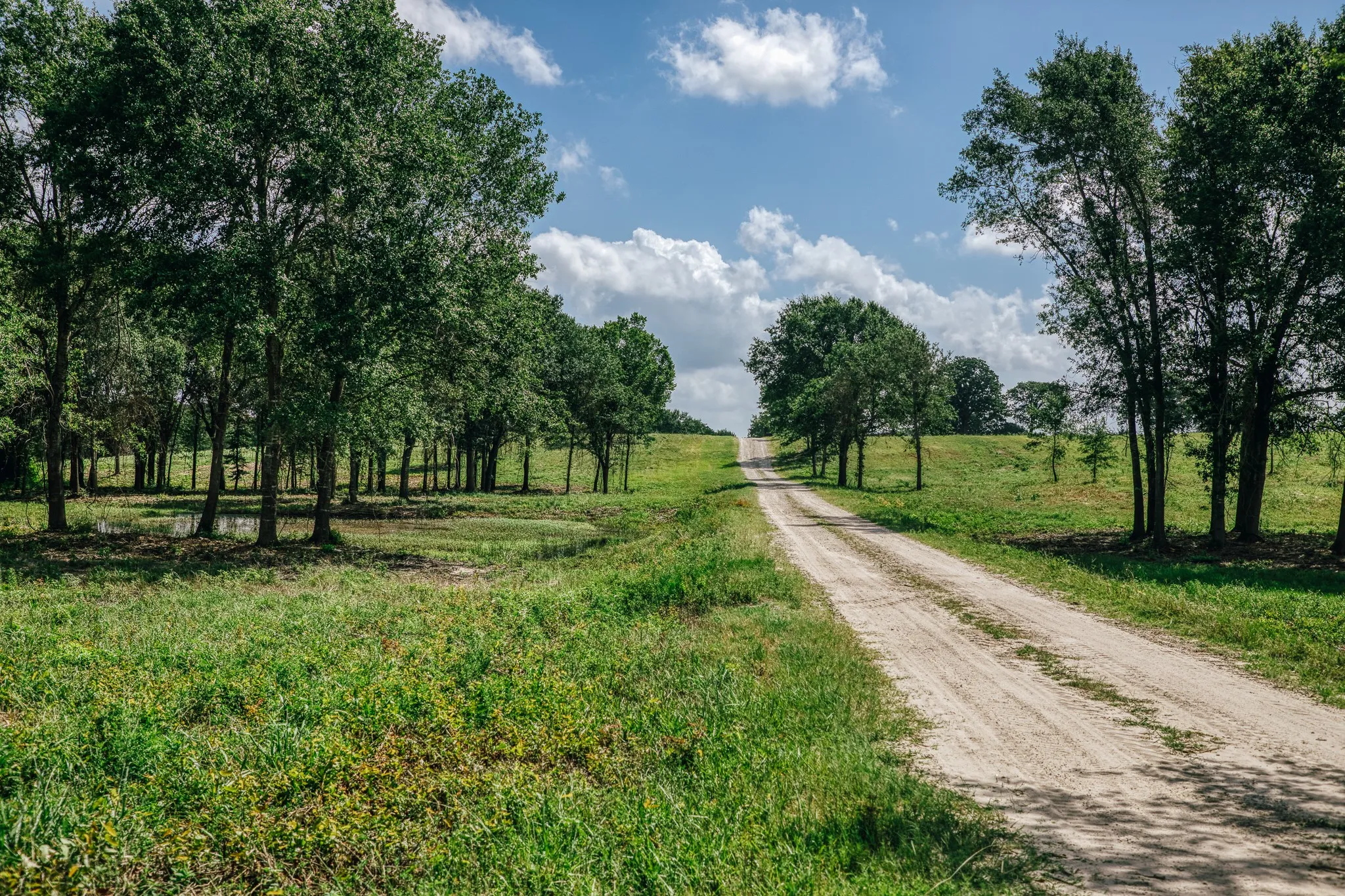Improved Land For Sale in Limestone County , 00 FM 39, Mexia, Texas 76667, 0, 0, Garage spaces, 0 Sqft, built in 0, mls#21396239, Real Estate Agent in Mexia, Homes For Sale in Limestone county, Homes For Sale in Mexia, Realtor in Mexia Texas, Real Estate Brokerage Independent Realty Texas, Luminita Cordes Realtor