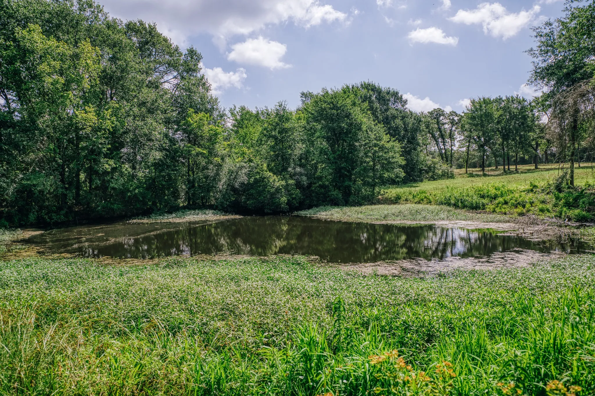 Improved Land For Sale in Limestone County , 00 FM 39, Mexia, Texas 76667, 0, 0, Garage spaces, 0 Sqft, built in 0, mls#21396239, Real Estate Agent in Mexia, Homes For Sale in Limestone county, Homes For Sale in Mexia, Realtor in Mexia Texas, Real Estate Brokerage Independent Realty Texas, Luminita Cordes Realtor