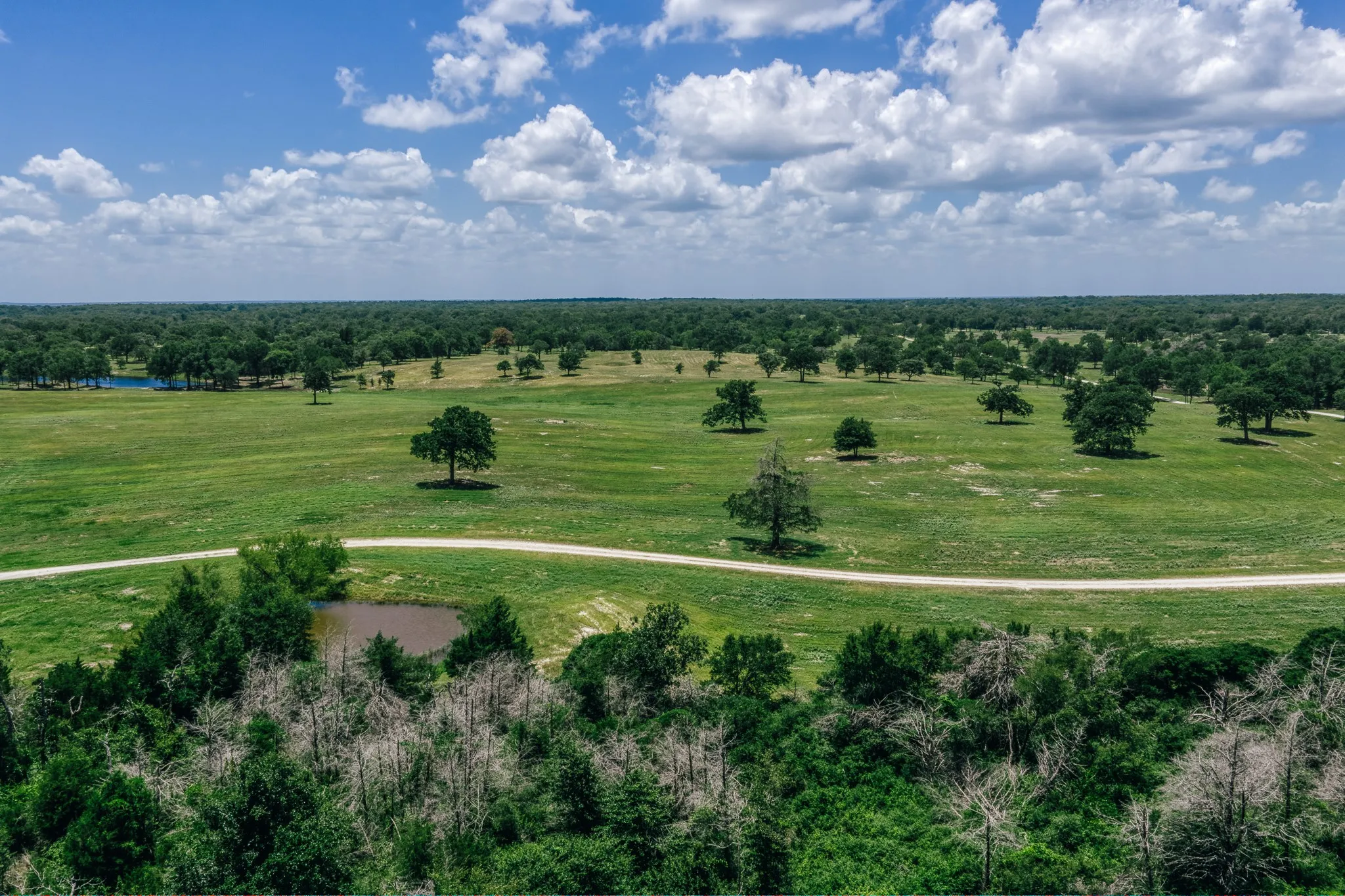 Improved Land For Sale in Limestone County , 00 FM 39, Mexia, Texas 76667, 0, 0, Garage spaces, 0 Sqft, built in 0, mls#21396239, Real Estate Agent in Mexia, Homes For Sale in Limestone county, Homes For Sale in Mexia, Realtor in Mexia Texas, Real Estate Brokerage Independent Realty Texas, Luminita Cordes Realtor