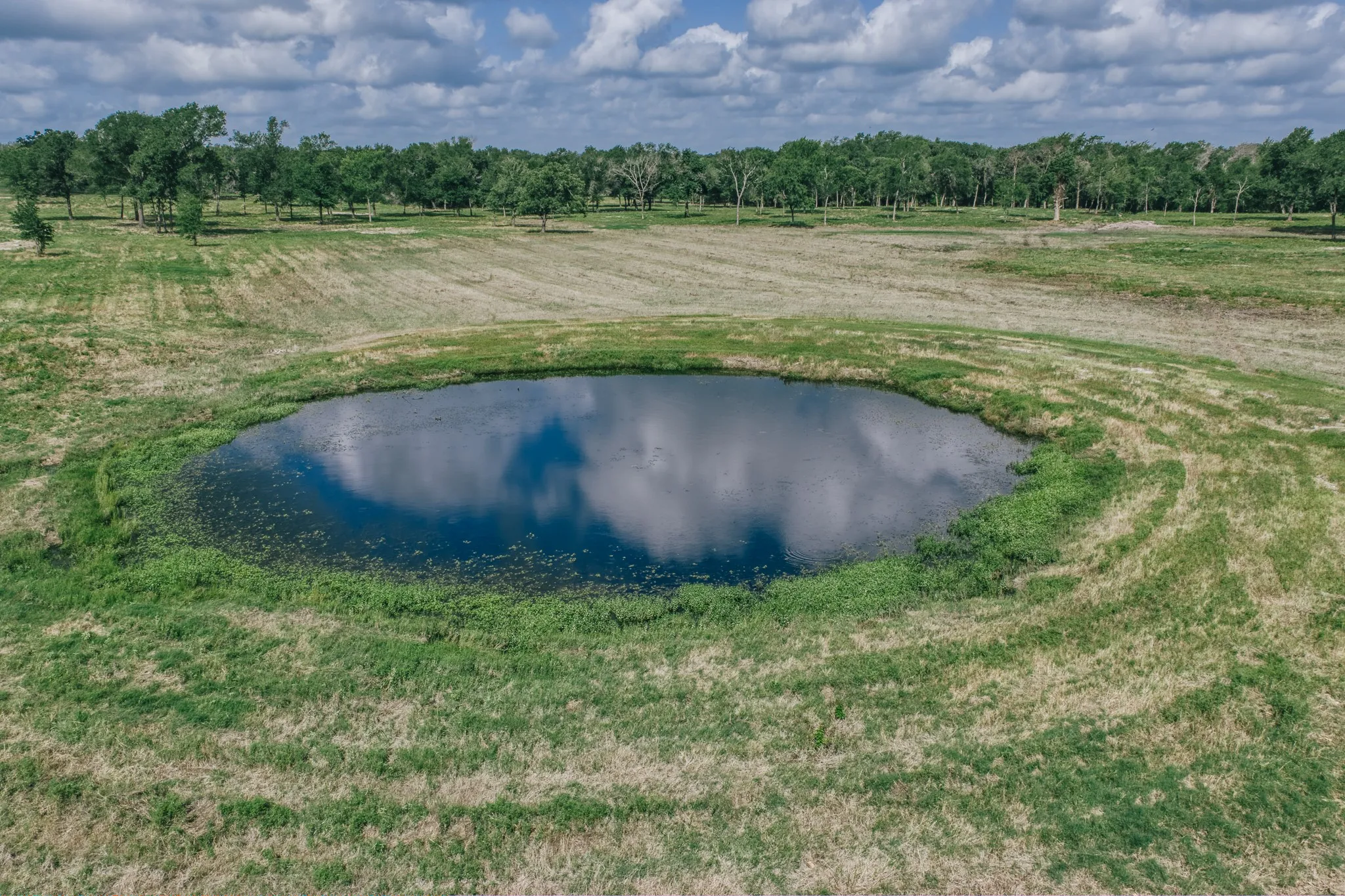 Improved Land For Sale in Limestone County , 00 FM 39, Mexia, Texas 76667, 0, 0, Garage spaces, 0 Sqft, built in 0, mls#21396239, Real Estate Agent in Mexia, Homes For Sale in Limestone county, Homes For Sale in Mexia, Realtor in Mexia Texas, Real Estate Brokerage Independent Realty Texas, Luminita Cordes Realtor