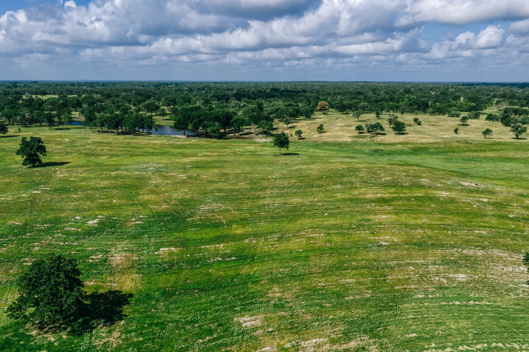 Improved Land For Sale in Limestone County , 00 FM 39, Mexia, Texas 76667, 0, 0, Garage spaces, 0 Sqft, built in 0, mls#21396239, Real Estate Agent in Mexia, Homes For Sale in Limestone county, Homes For Sale in Mexia, Realtor in Mexia Texas, Real Estate Brokerage Independent Realty Texas, Luminita Cordes Realtor