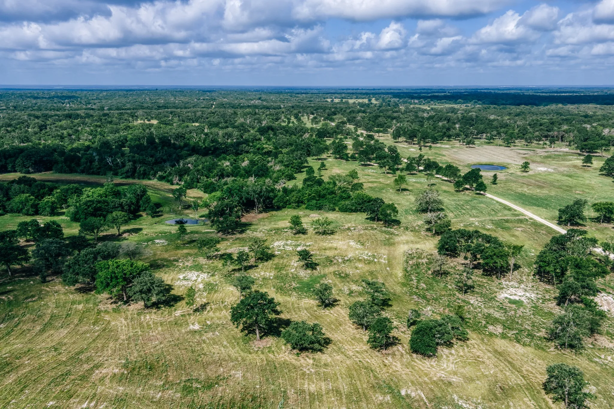 Improved Land For Sale in Limestone County , 00 FM 39, Mexia, Texas 76667, 0, 0, Garage spaces, 0 Sqft, built in 0, mls#21396239, Real Estate Agent in Mexia, Homes For Sale in Limestone county, Homes For Sale in Mexia, Realtor in Mexia Texas, Real Estate Brokerage Independent Realty Texas, Luminita Cordes Realtor