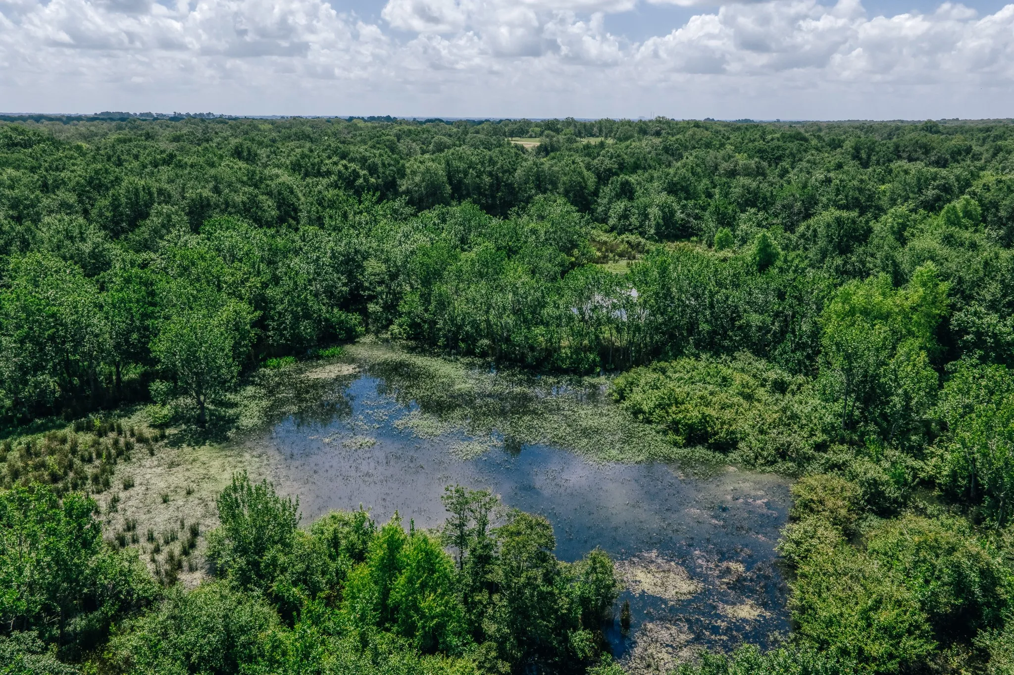 Improved Land For Sale in Limestone County , 00 FM 39, Mexia, Texas 76667, 0, 0, Garage spaces, 0 Sqft, built in 0, mls#21396239, Real Estate Agent in Mexia, Homes For Sale in Limestone county, Homes For Sale in Mexia, Realtor in Mexia Texas, Real Estate Brokerage Independent Realty Texas, Luminita Cordes Realtor