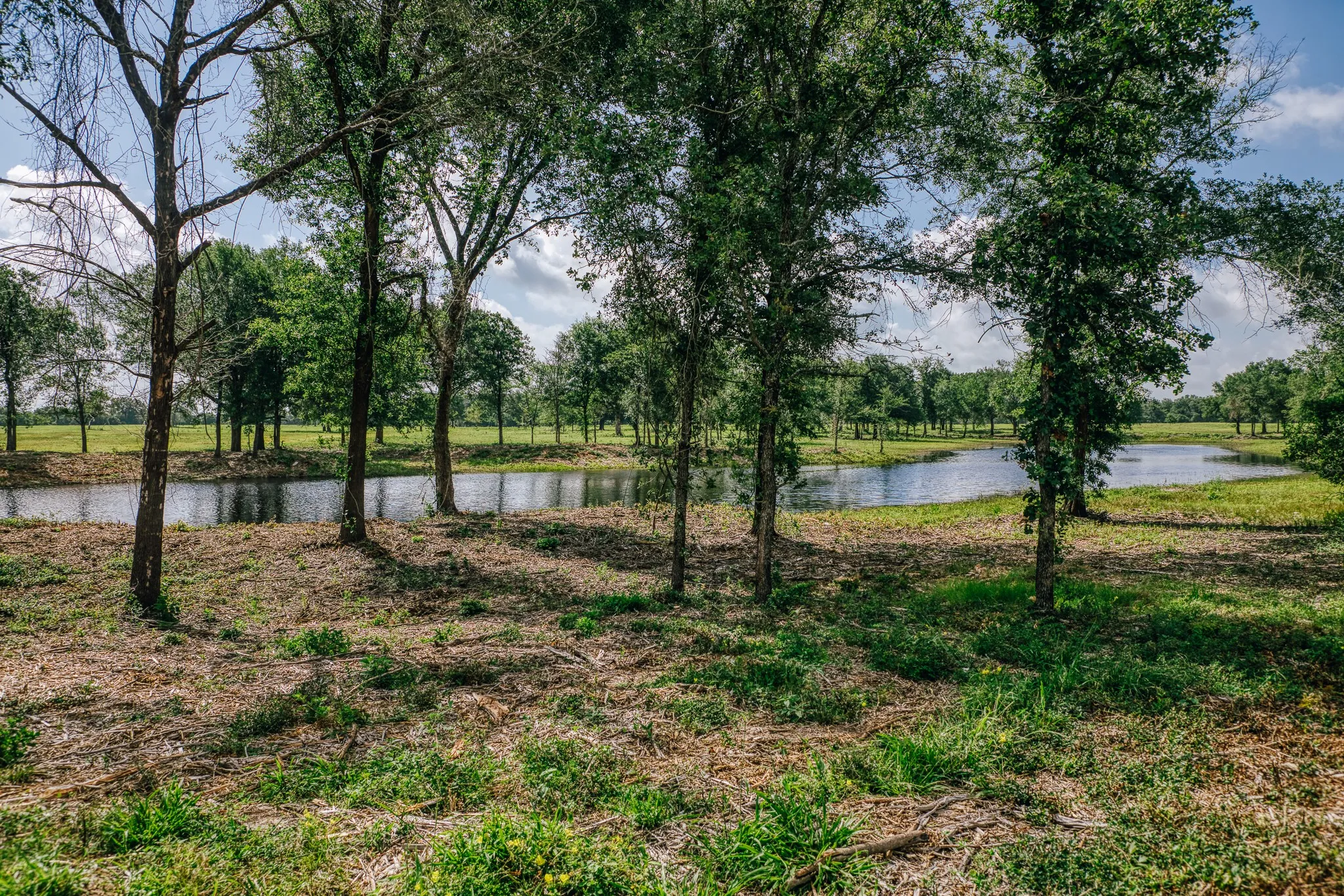 Improved Land For Sale in Limestone County , 00 FM 39, Mexia, Texas 76667, 0, 0, Garage spaces, 0 Sqft, built in 0, mls#21396239, Real Estate Agent in Mexia, Homes For Sale in Limestone county, Homes For Sale in Mexia, Realtor in Mexia Texas, Real Estate Brokerage Independent Realty Texas, Luminita Cordes Realtor