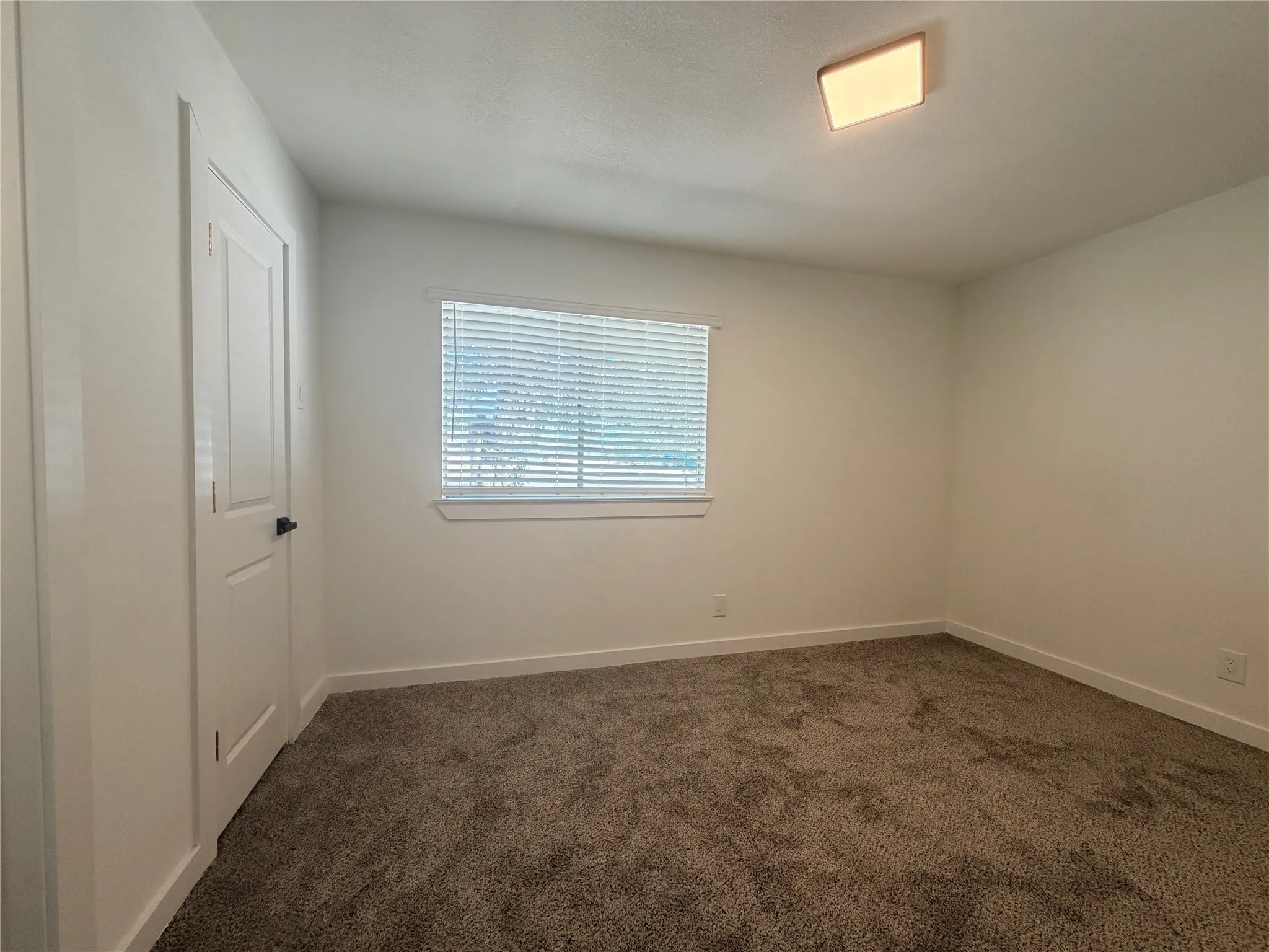 Neutral wall paint, ceiling-mounted light fixture, window with blinds, panel door, and dark carpet flooring