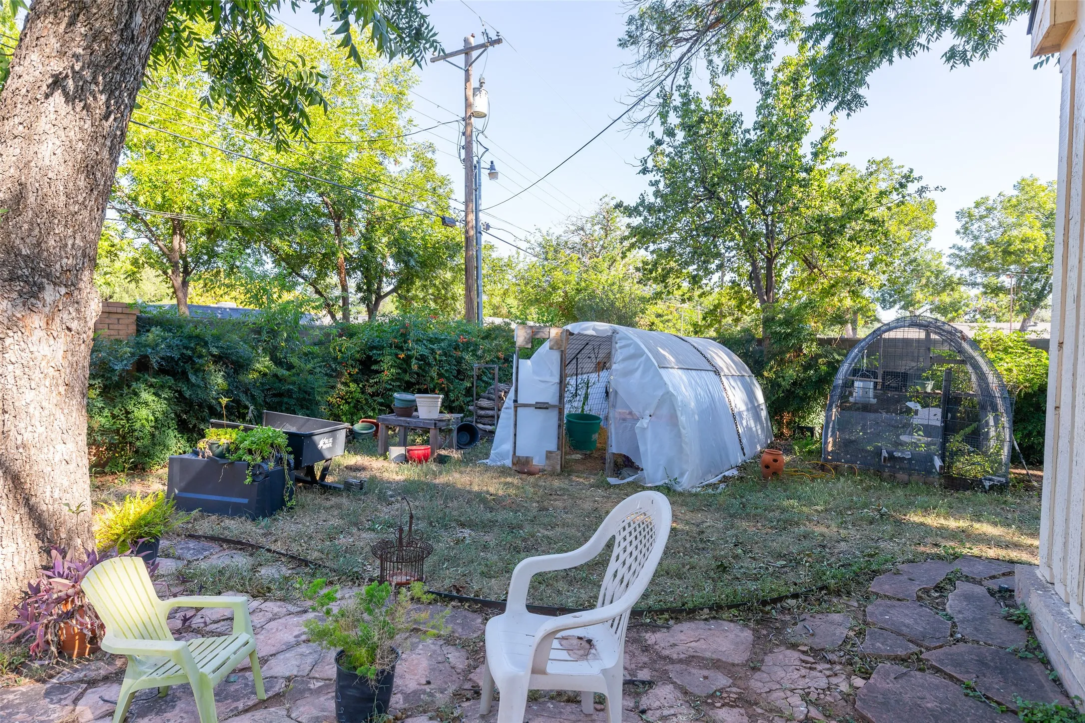 SMALL GREENHOUSE