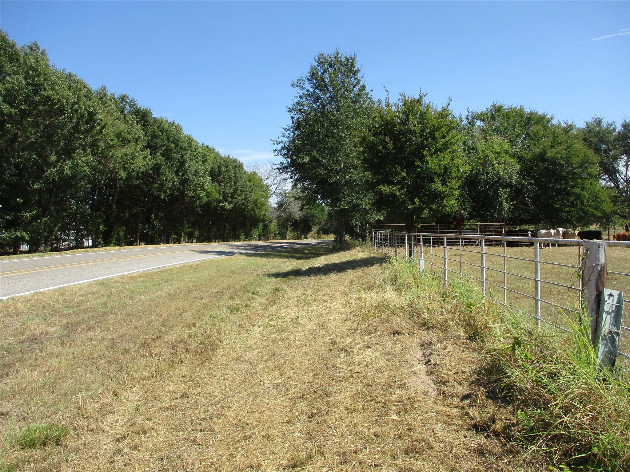 Improved Land For Sale in Rains County , 3366 E FM 2795, Alba, Texas 75410, 0, 0, Garage spaces, 0 Sqft, built in 0, mls#21396273, Real Estate Agent in Alba, Homes For Sale in Rains county, Homes For Sale in Alba, Realtor in Alba Texas, Real Estate Brokerage Independent Realty Texas, Luminita Cordes Realtor