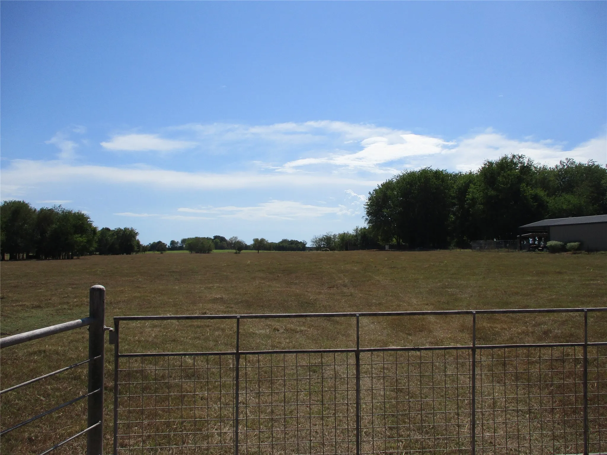 Improved Land For Sale in Rains County , 3366 E FM 2795, Alba, Texas 75410, 0, 0, Garage spaces, 0 Sqft, built in 0, mls#21396273, Real Estate Agent in Alba, Homes For Sale in Rains county, Homes For Sale in Alba, Realtor in Alba Texas, Real Estate Brokerage Independent Realty Texas, Luminita Cordes Realtor