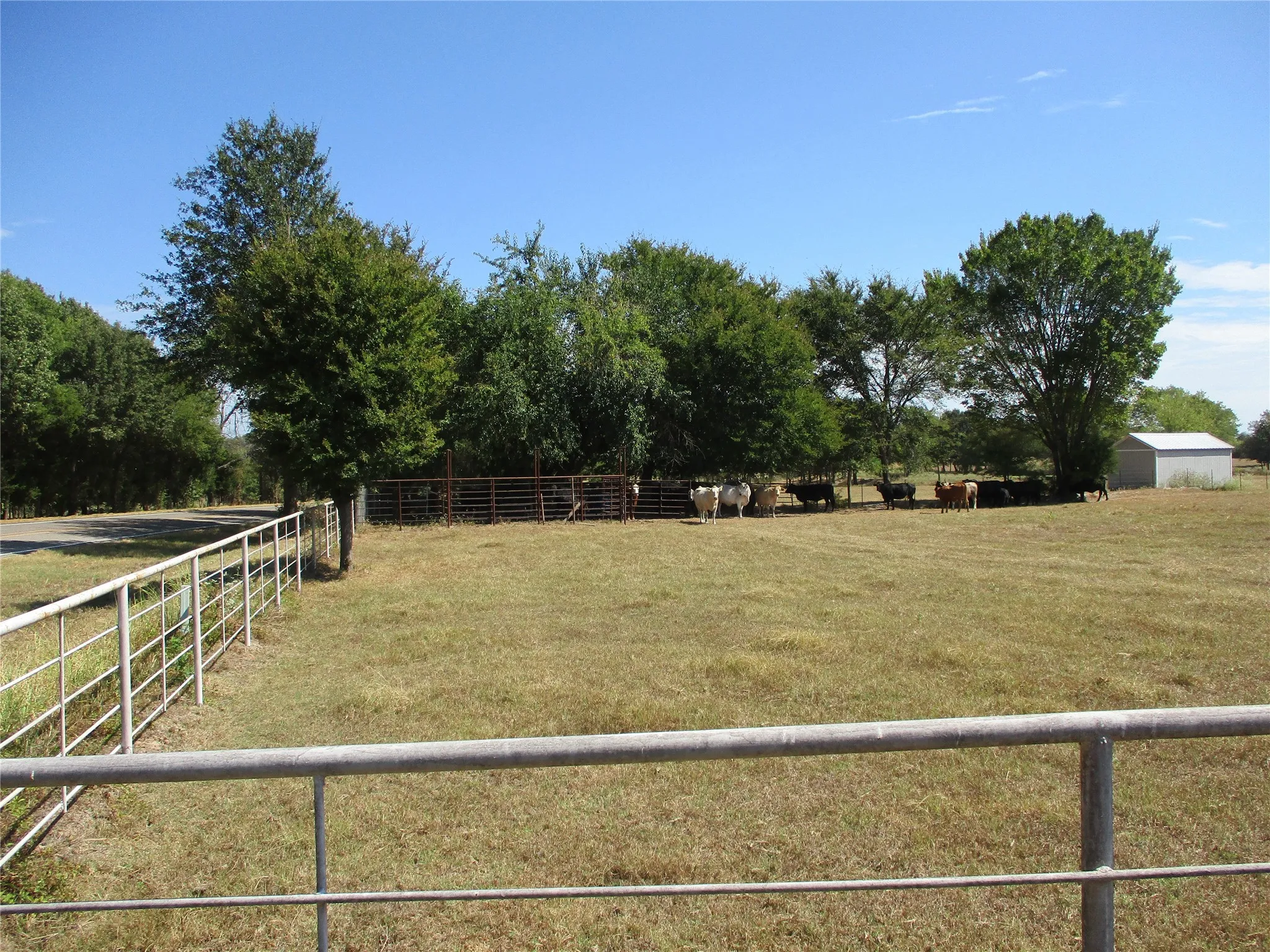Improved Land For Sale in Rains County , 3366 E FM 2795, Alba, Texas 75410, 0, 0, Garage spaces, 0 Sqft, built in 0, mls#21396273, Real Estate Agent in Alba, Homes For Sale in Rains county, Homes For Sale in Alba, Realtor in Alba Texas, Real Estate Brokerage Independent Realty Texas, Luminita Cordes Realtor