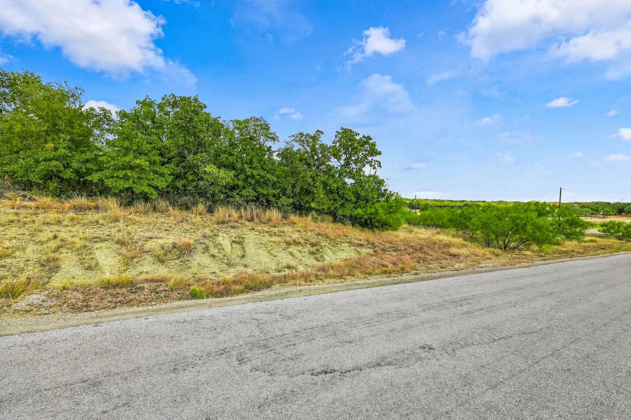 Asphalt road frontage property with natural landscaping and mature trees.
