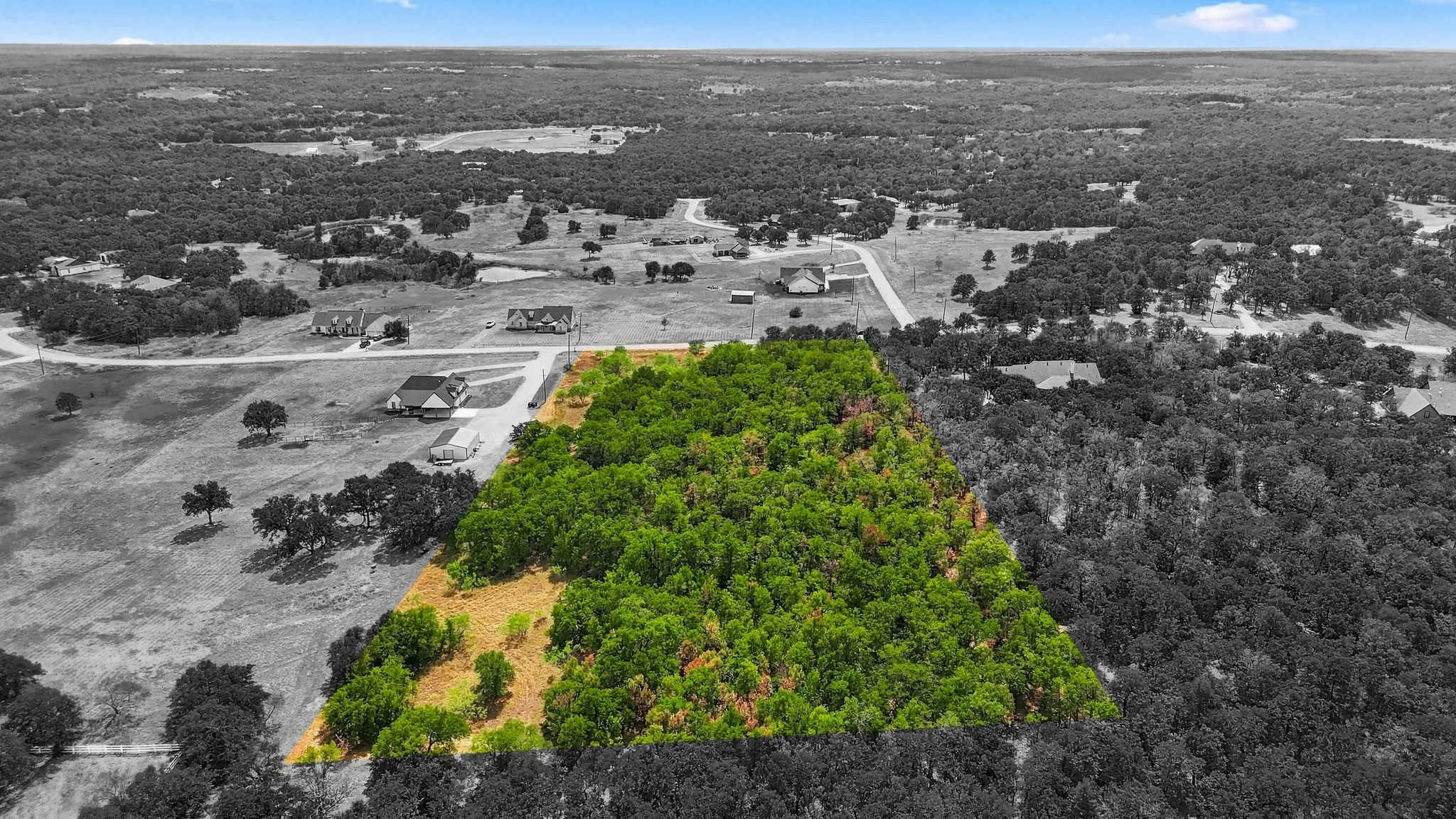 Expansive undeveloped lot featuring mature trees and clearings. 310' W X 702' D