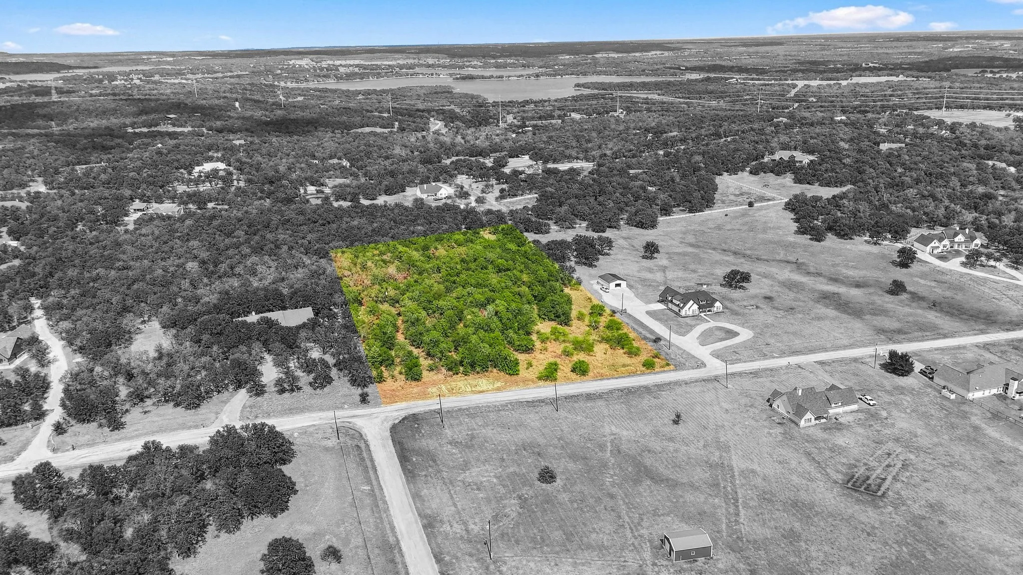 Expansive parcel featuring a partial tree canopy, direct road access, and flat topography