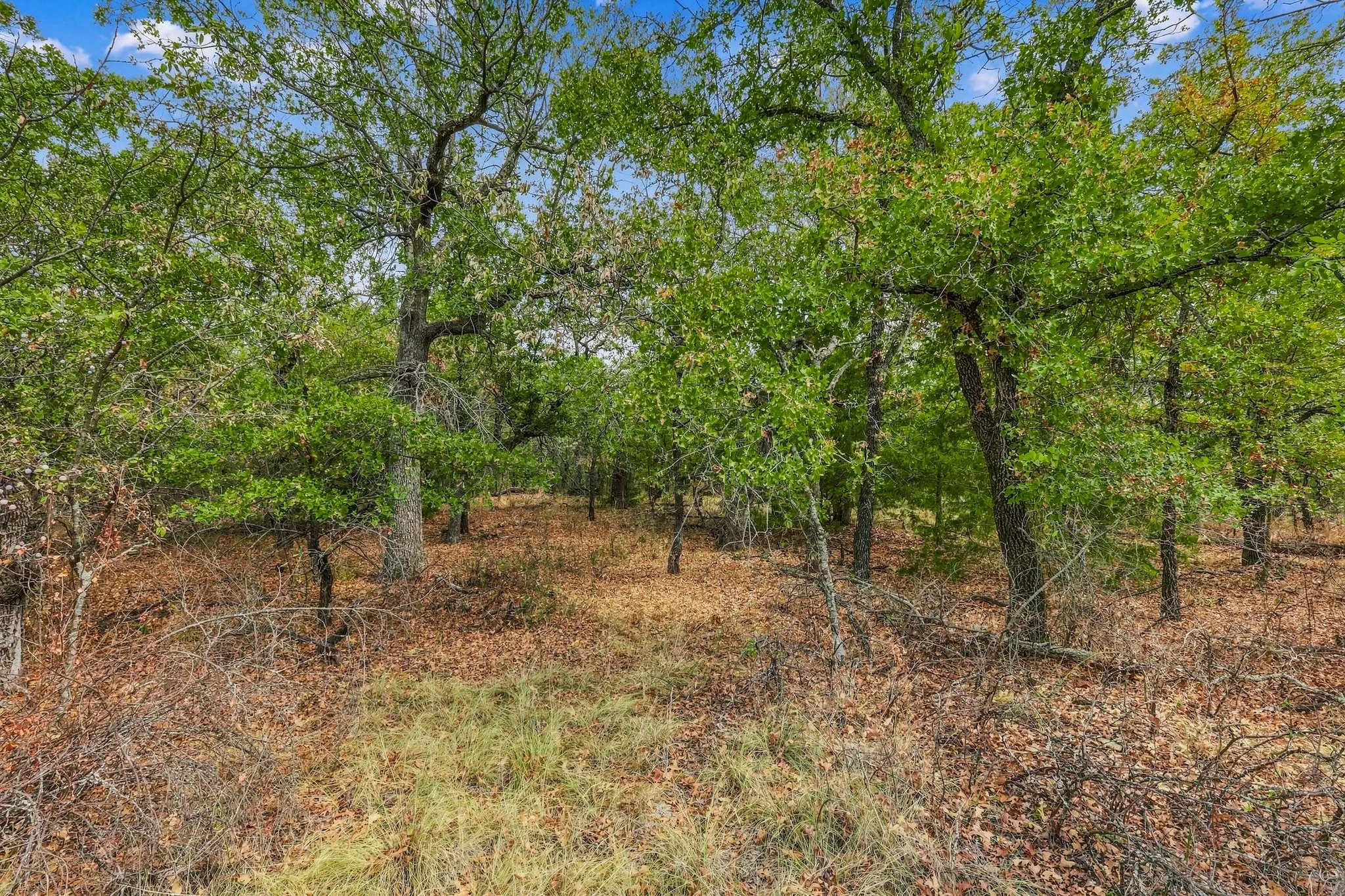Unimproved Land For Sale in Montague County , Lot 296 Silver Leaf, Sunset, Texas 76270, 0, 0, Garage spaces, 0 Sqft, built in 0, mls#21393458, Real Estate Agent in Sunset, Homes For Sale in Montague county, Homes For Sale in Sunset, Realtor in Sunset Texas, Real Estate Brokerage Independent Realty Texas, Luminita Cordes Realtor