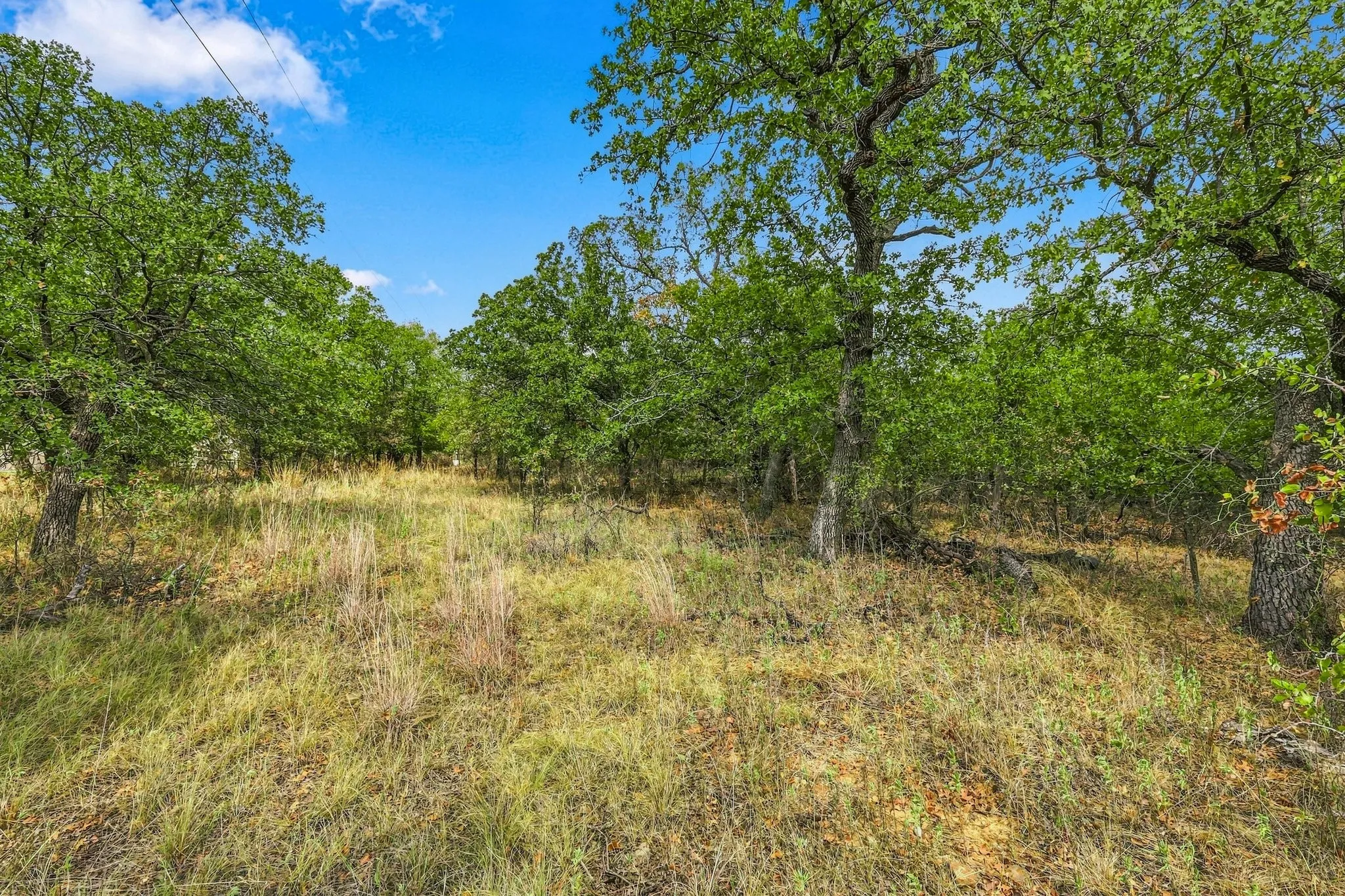 Beautiful sprawling lot with plenty of mature trees and natural ground cover. Owner says there are native Mexican Plum trees with beautiful spring flowers! 310' W X 702' D