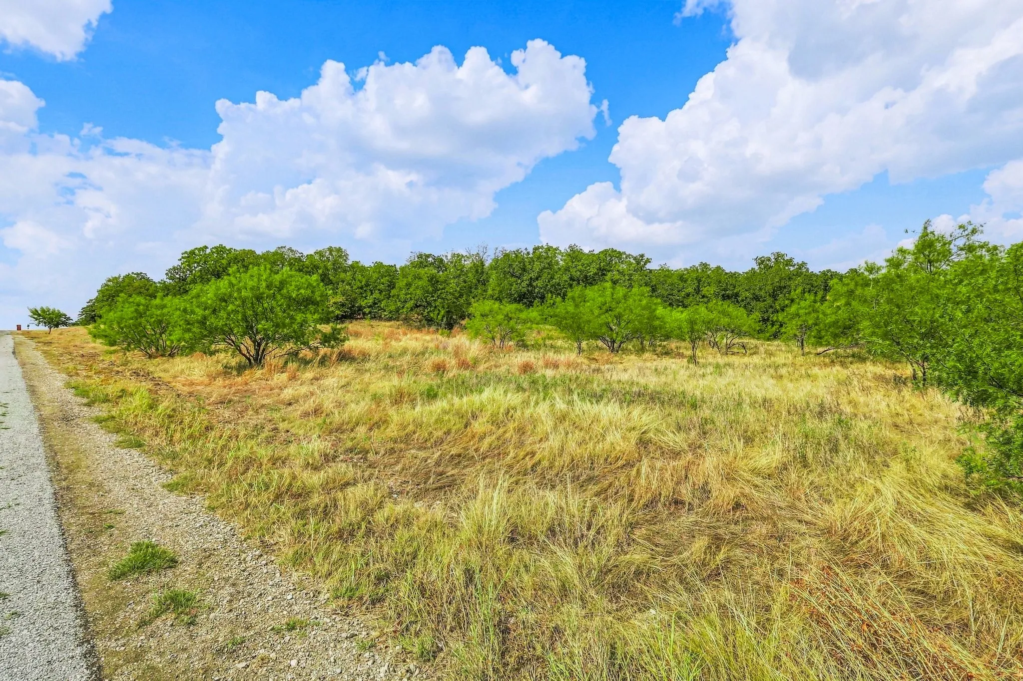 Expansive natural landscape with varied terrain and mature trees