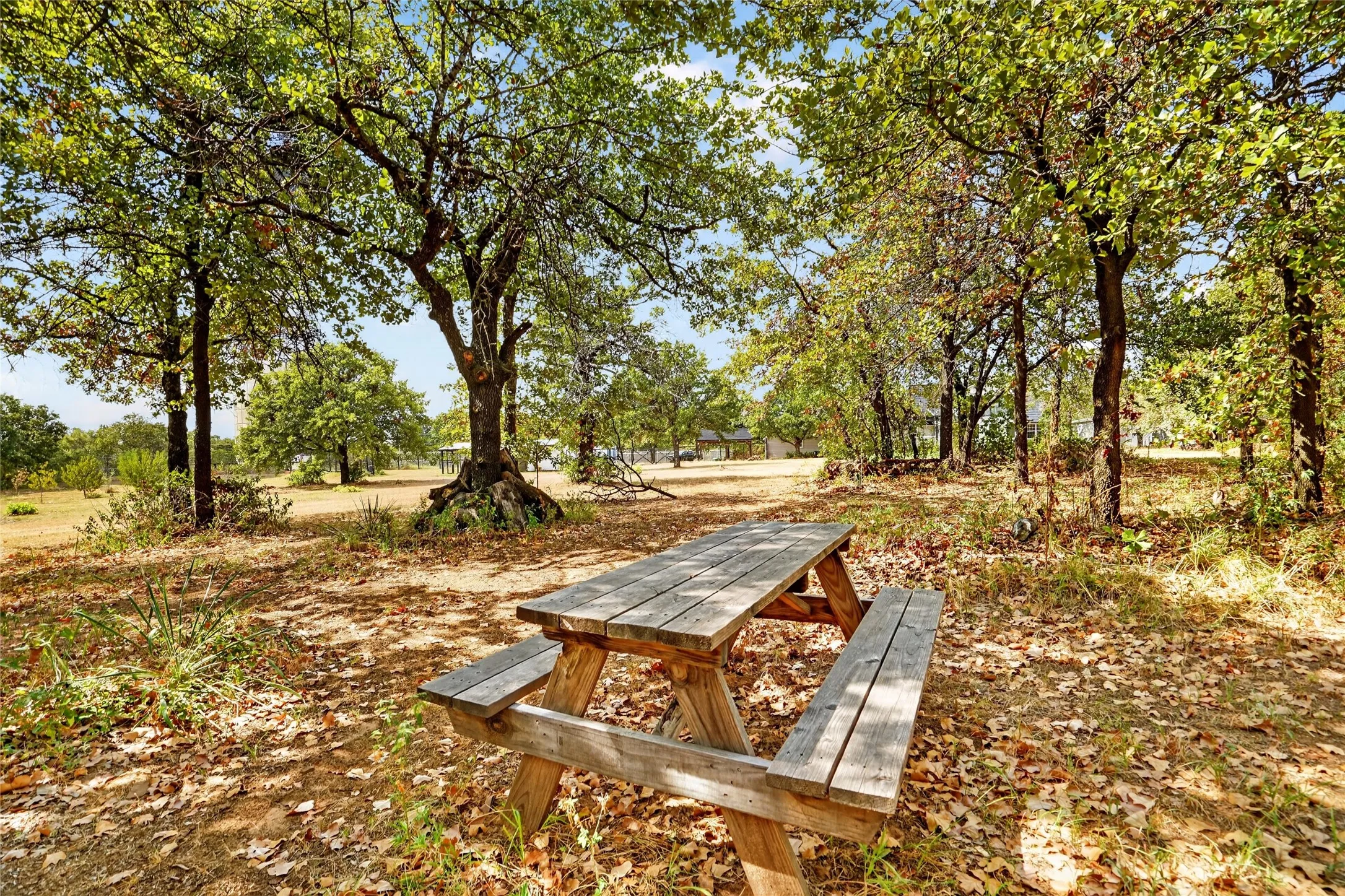 Mature trees providing natural shade