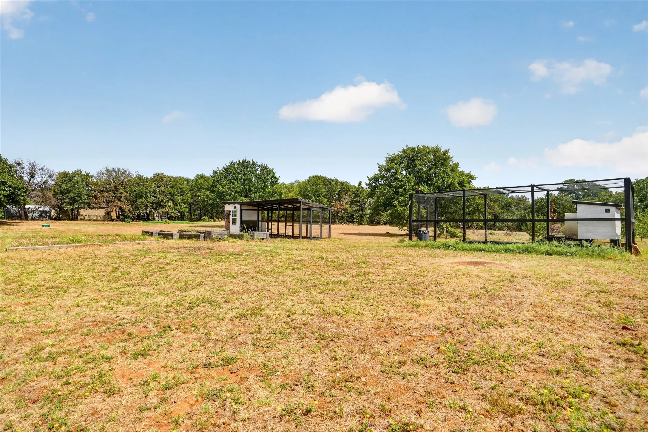 Expansive open land featuring established trees and multiple outbuildings