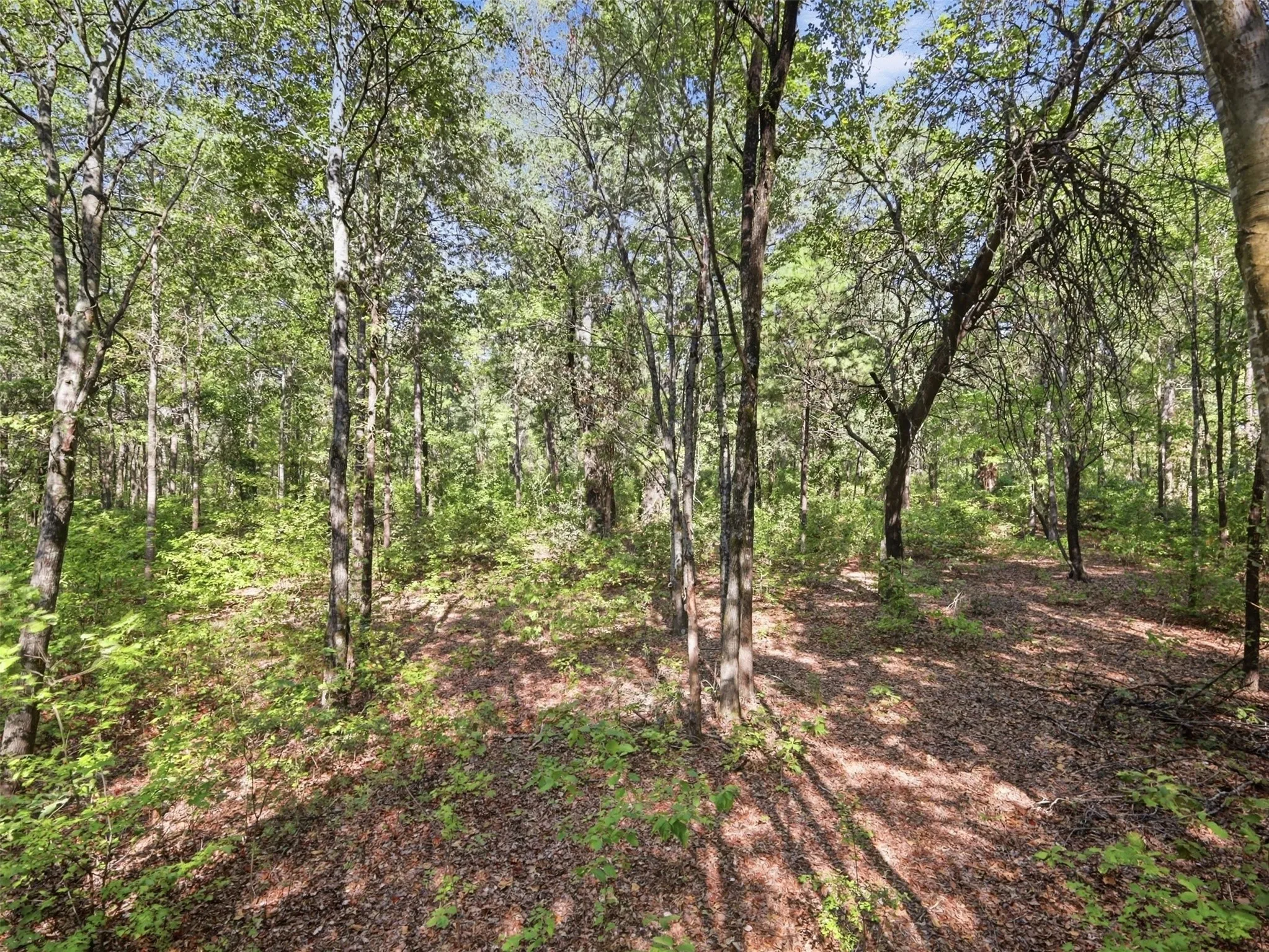 Unimproved Land For Sale in Wood County , 5015 Fm 49, Mineola, Texas 75783, 0, 0, Garage spaces, 0 Sqft, built in 0, mls#21395233, Real Estate Agent in Mineola, Homes For Sale in Wood county, Homes For Sale in Mineola, Realtor in Mineola Texas, Real Estate Brokerage Independent Realty Texas, Luminita Cordes Realtor