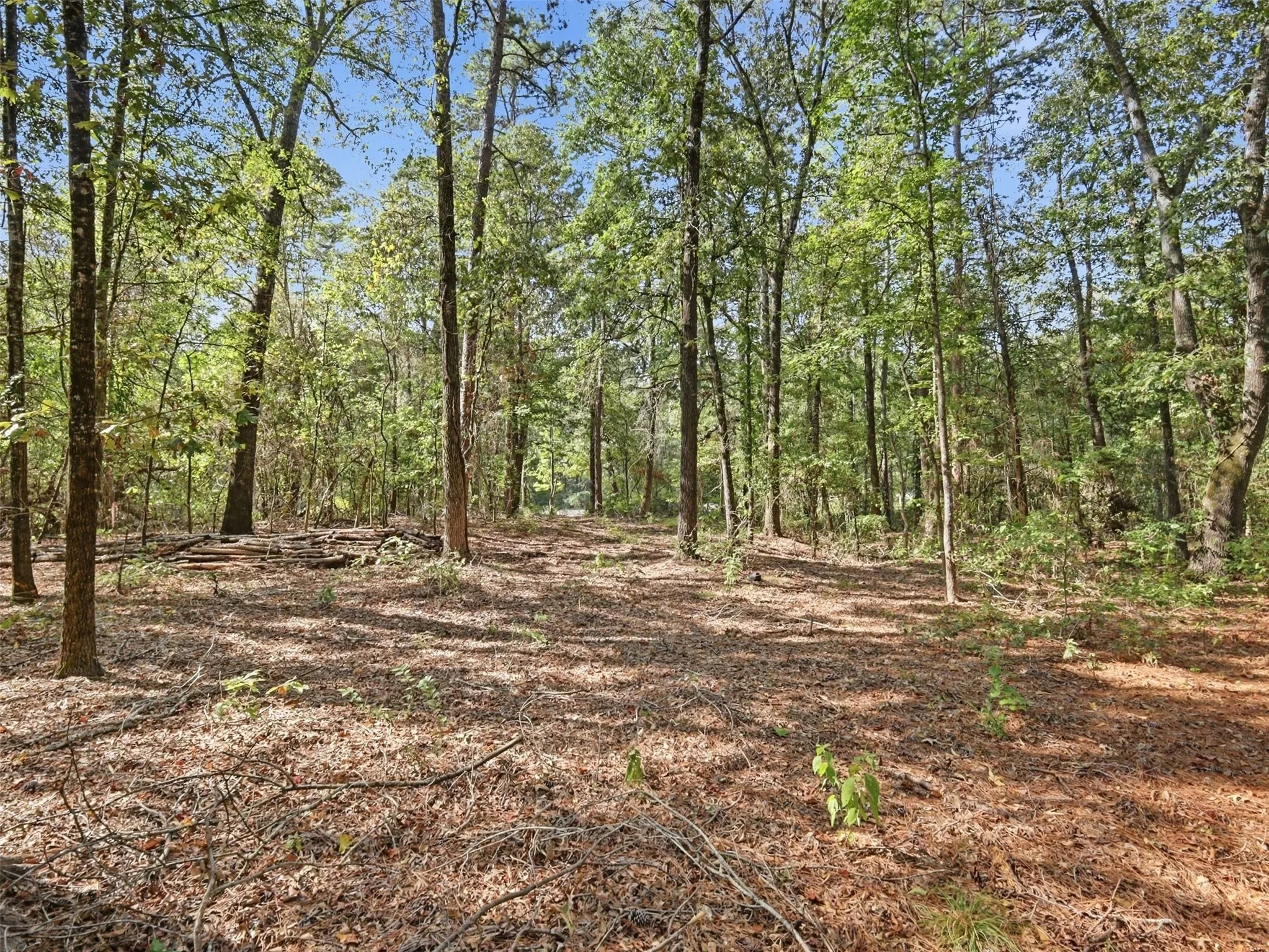 Unimproved Land For Sale in Wood County , 5015 Fm 49, Mineola, Texas 75783, 0, 0, Garage spaces, 0 Sqft, built in 0, mls#21395233, Real Estate Agent in Mineola, Homes For Sale in Wood county, Homes For Sale in Mineola, Realtor in Mineola Texas, Real Estate Brokerage Independent Realty Texas, Luminita Cordes Realtor