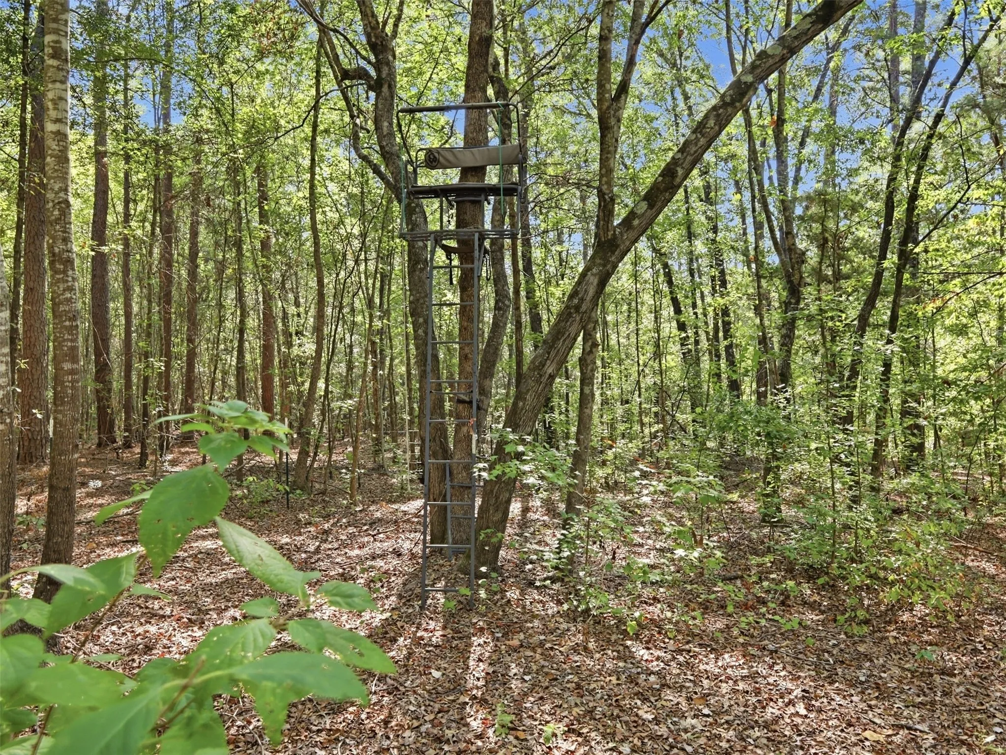 Unimproved Land For Sale in Wood County , 5015 Fm 49, Mineola, Texas 75783, 0, 0, Garage spaces, 0 Sqft, built in 0, mls#21395233, Real Estate Agent in Mineola, Homes For Sale in Wood county, Homes For Sale in Mineola, Realtor in Mineola Texas, Real Estate Brokerage Independent Realty Texas, Luminita Cordes Realtor