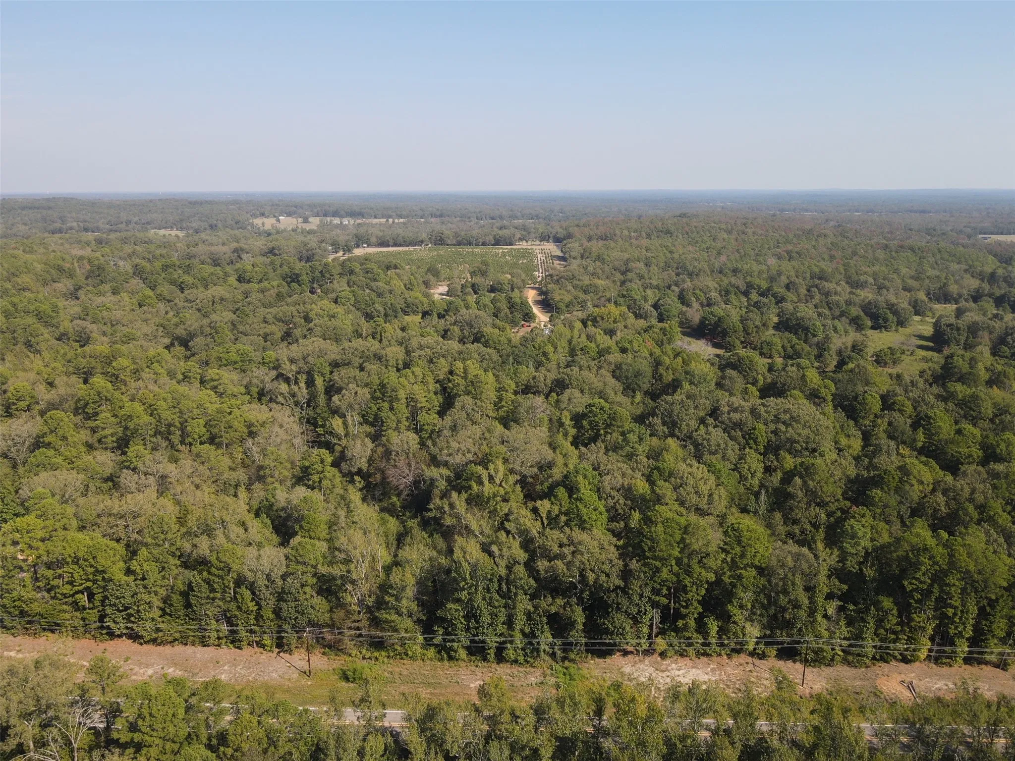 Unimproved Land For Sale in Wood County , 5015 Fm 49, Mineola, Texas 75783, 0, 0, Garage spaces, 0 Sqft, built in 0, mls#21395233, Real Estate Agent in Mineola, Homes For Sale in Wood county, Homes For Sale in Mineola, Realtor in Mineola Texas, Real Estate Brokerage Independent Realty Texas, Luminita Cordes Realtor