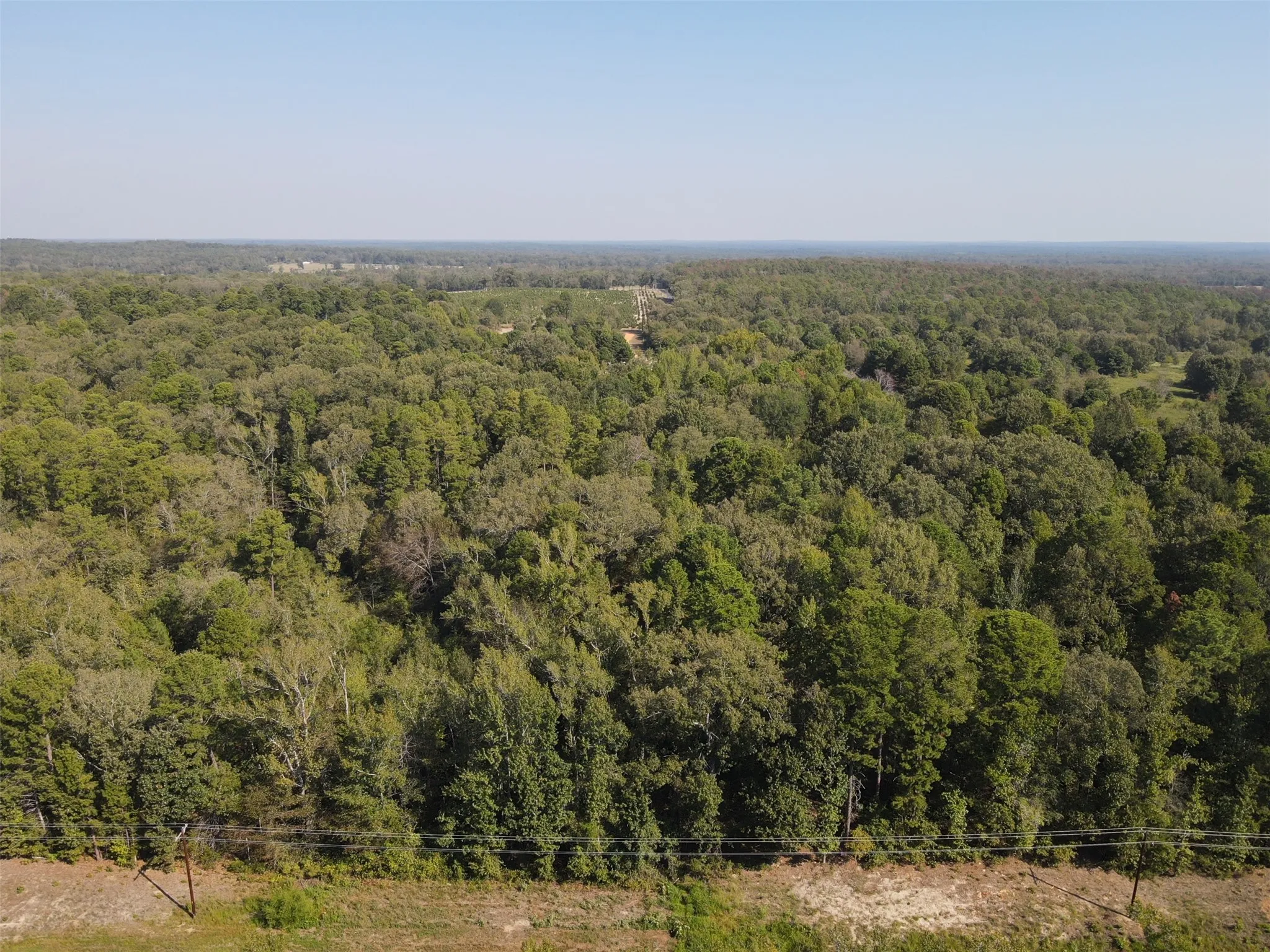 Unimproved Land For Sale in Wood County , 5015 Fm 49, Mineola, Texas 75783, 0, 0, Garage spaces, 0 Sqft, built in 0, mls#21395233, Real Estate Agent in Mineola, Homes For Sale in Wood county, Homes For Sale in Mineola, Realtor in Mineola Texas, Real Estate Brokerage Independent Realty Texas, Luminita Cordes Realtor