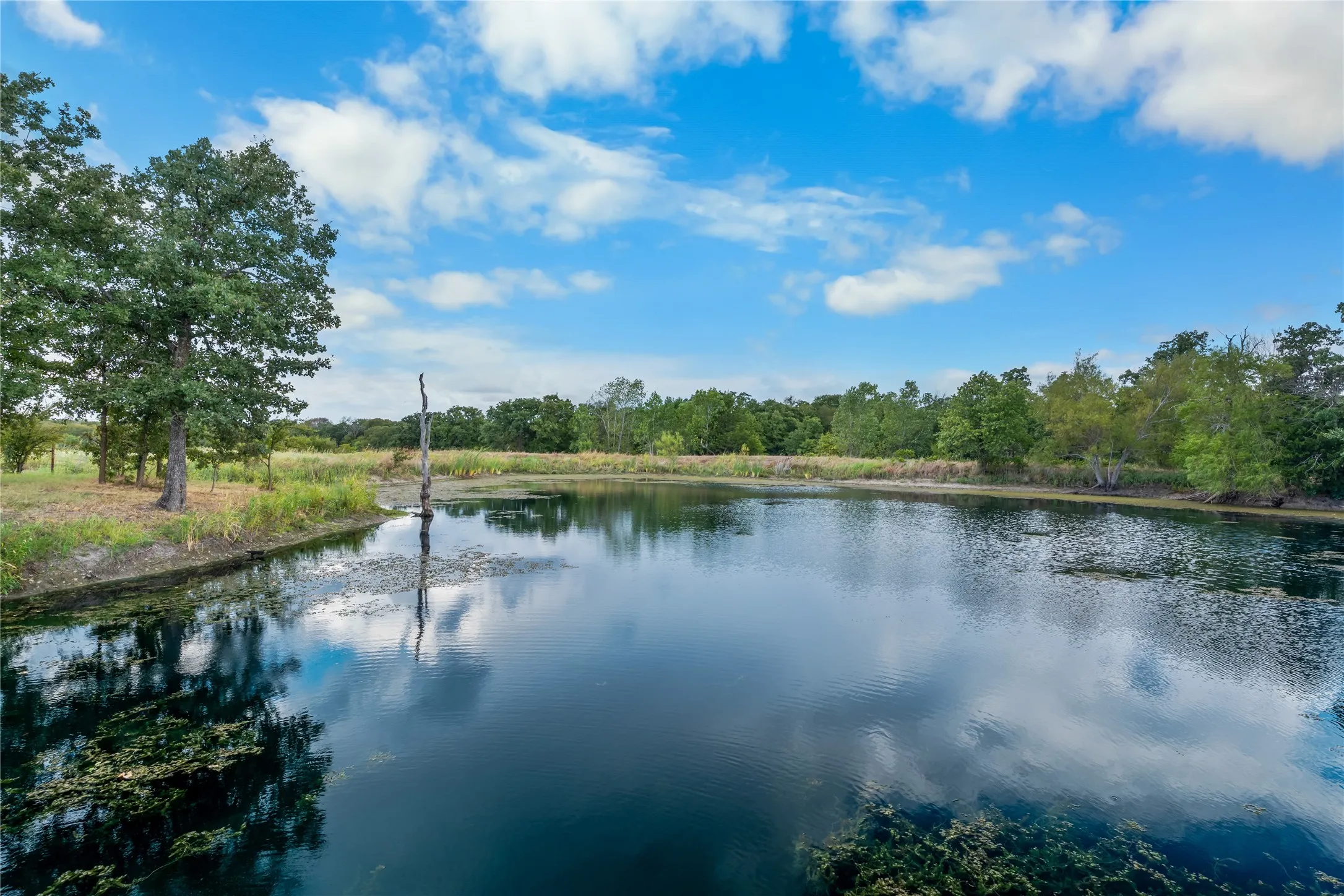 Farm For Sale in Limestone County , 1500 Lcr 102, Mount Calm, Texas 76673, 4 Bedroom, 3 Bathroom, Garage spaces, 2,703 Sqft, built in 2010, mls#21395626, Real Estate Agent in Mount Calm, Homes For Sale in Limestone county, Homes For Sale in Mount Calm, Realtor in Mount Calm Texas, Real Estate Brokerage Independent Realty Texas, Luminita Cordes Realtor