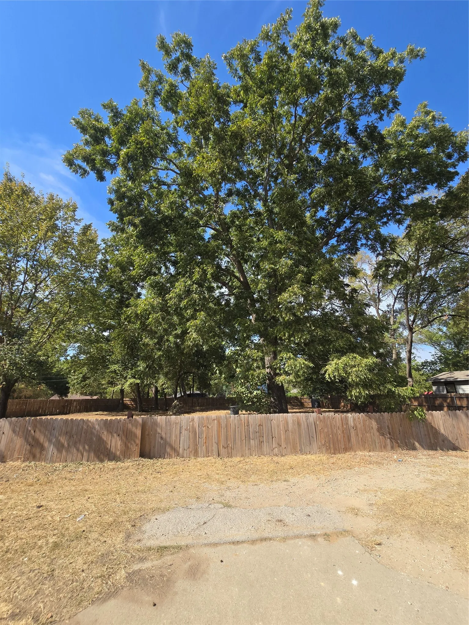 Unimproved Land For Sale in Dallas County , 8019 Kiska Street, Dallas, Texas 75216, 0, 0, Garage spaces, 0 Sqft, built in 0, mls#21396259, Real Estate Agent in Dallas, Homes For Sale in Dallas county, Homes For Sale in Dallas, Realtor in Dallas Texas, Real Estate Brokerage Independent Realty Texas, Luminita Cordes Realtor