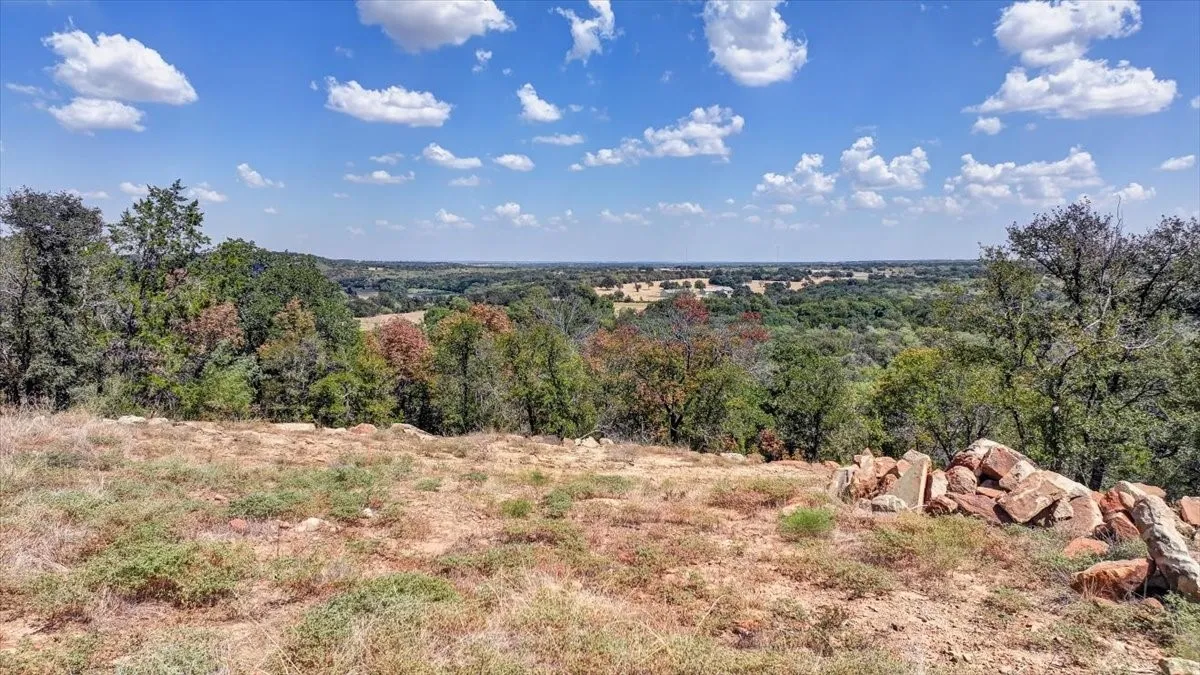 View from highest point on property