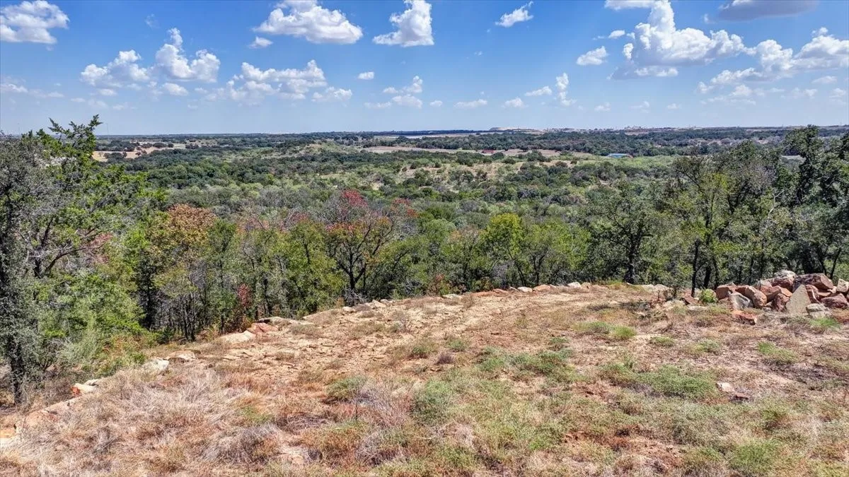 View from highest point on property