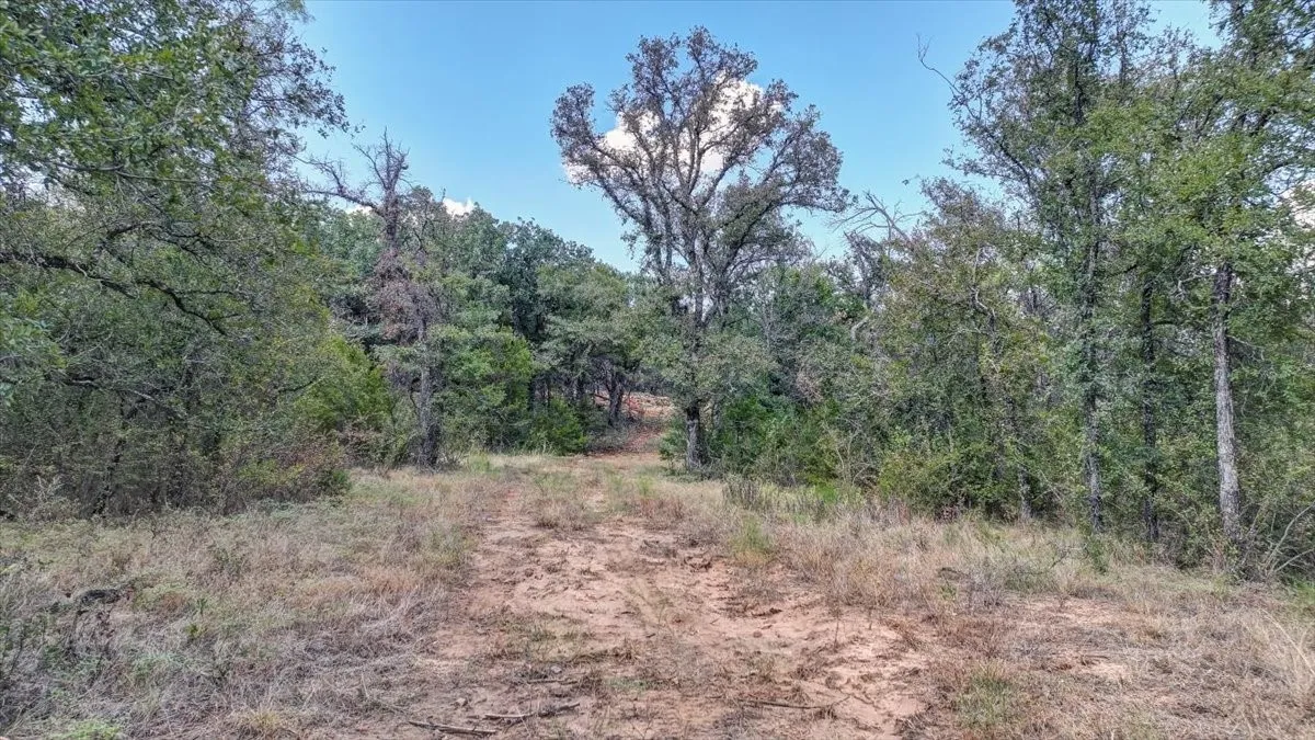 Improved Land For Sale in Palo Pinto County , 1045 Shiloh Sharps Landing, Santo, Texas 76472, 0, 0, Garage spaces, 0 Sqft, built in 0, mls#21389015, Real Estate Agent in Santo, Homes For Sale in Palo Pinto county, Homes For Sale in Santo, Realtor in Santo Texas, Real Estate Brokerage Independent Realty Texas, Luminita Cordes Realtor