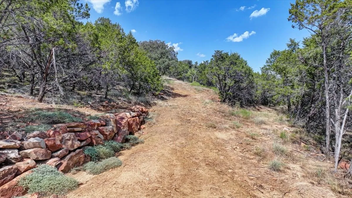 Driveway with rock retaining wall
