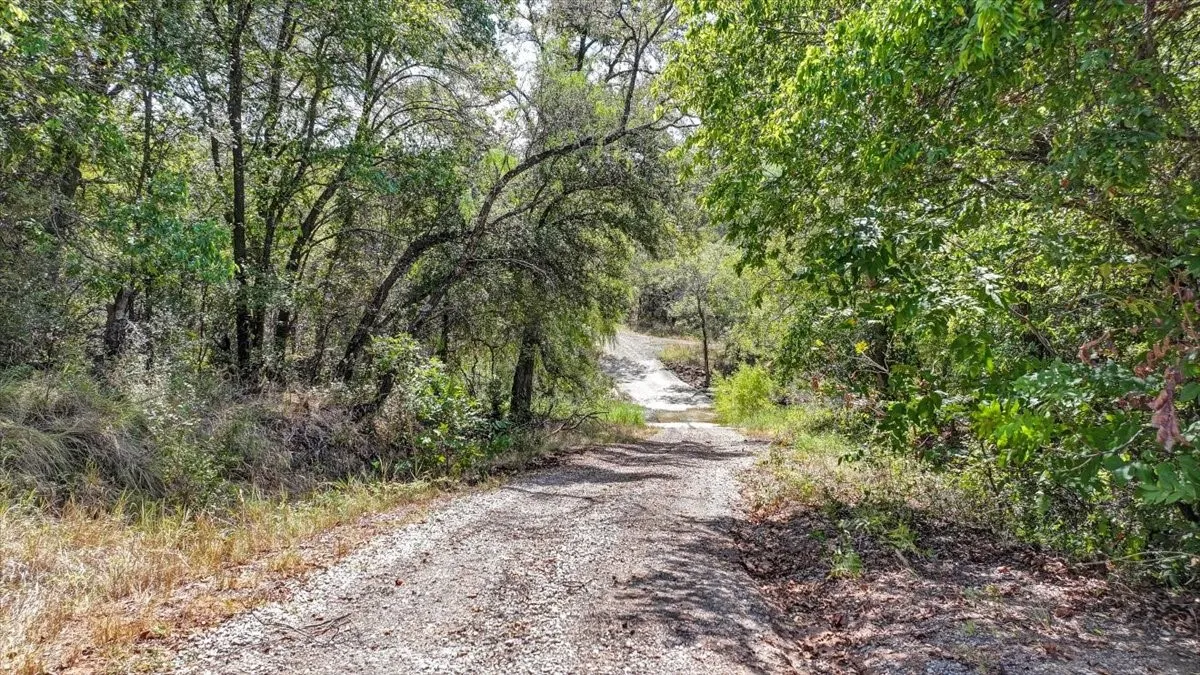 Drive to the Brazos River