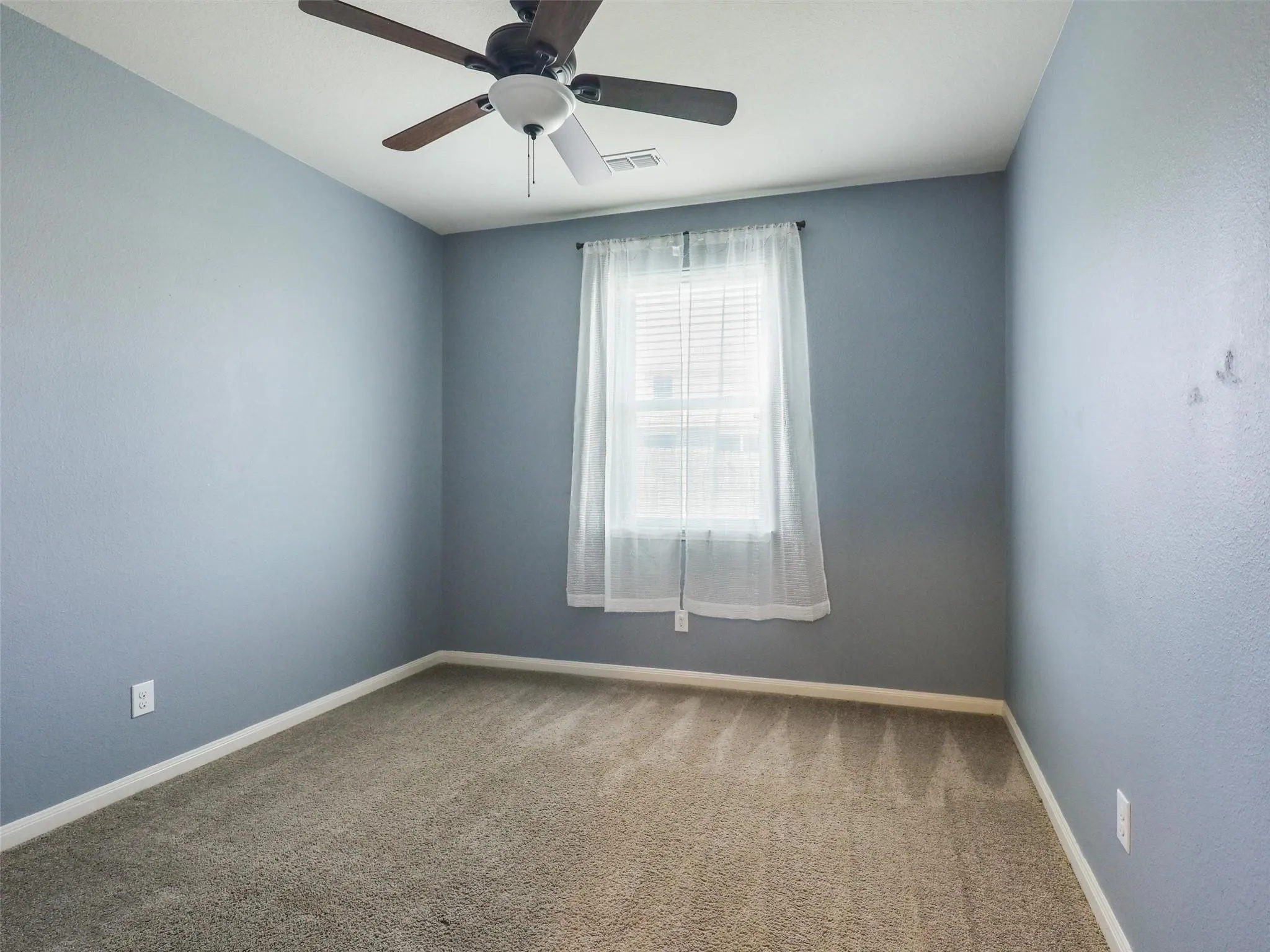 Carpeted flooring, ceiling fan with light fixture, single window with blinds, and painted walls