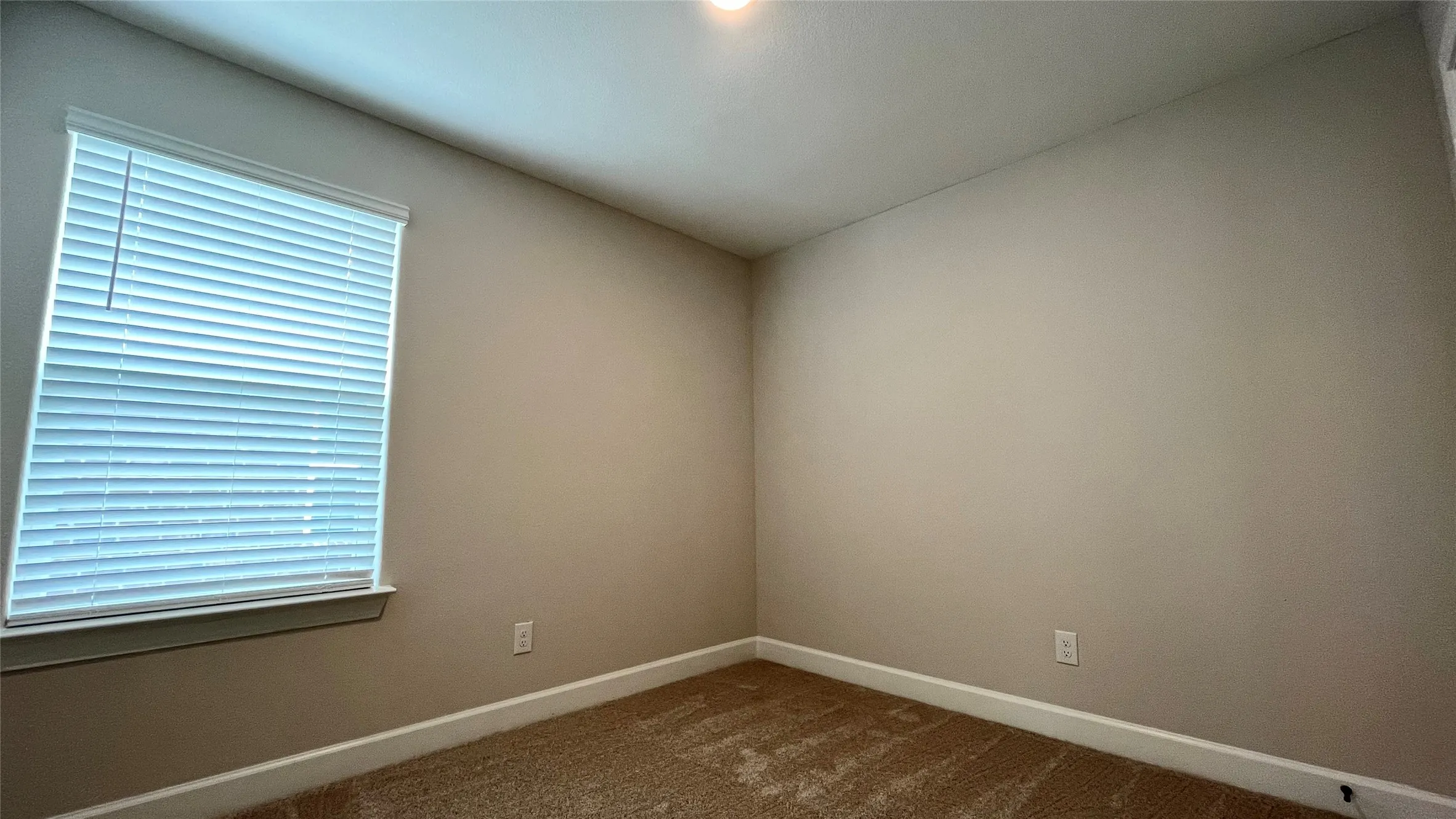 Window with white blinds, neutral wall paint, and carpeted flooring