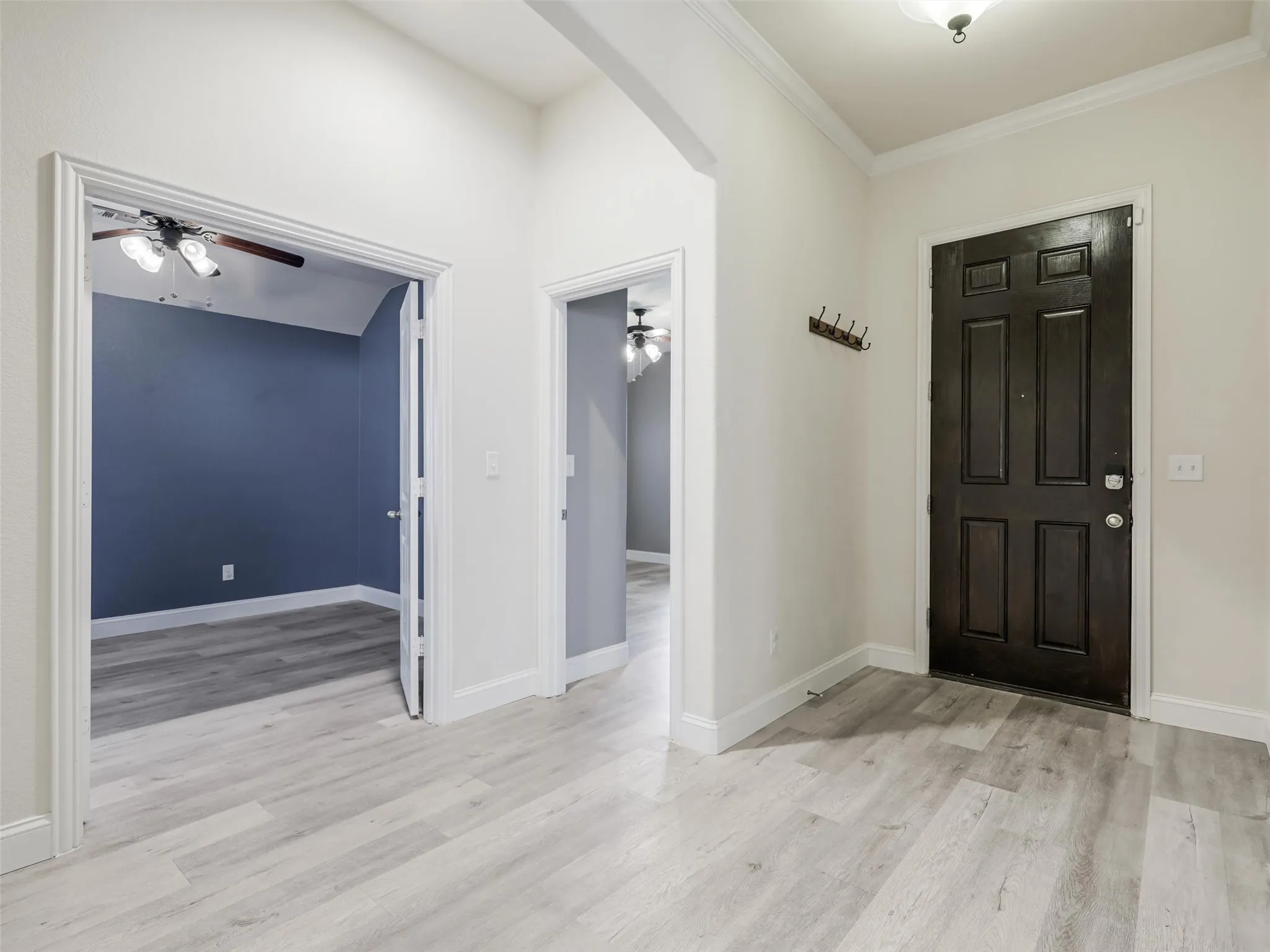 Light wood-finish flooring throughout, a dark paneled entry door, and a flush mount ceiling light
