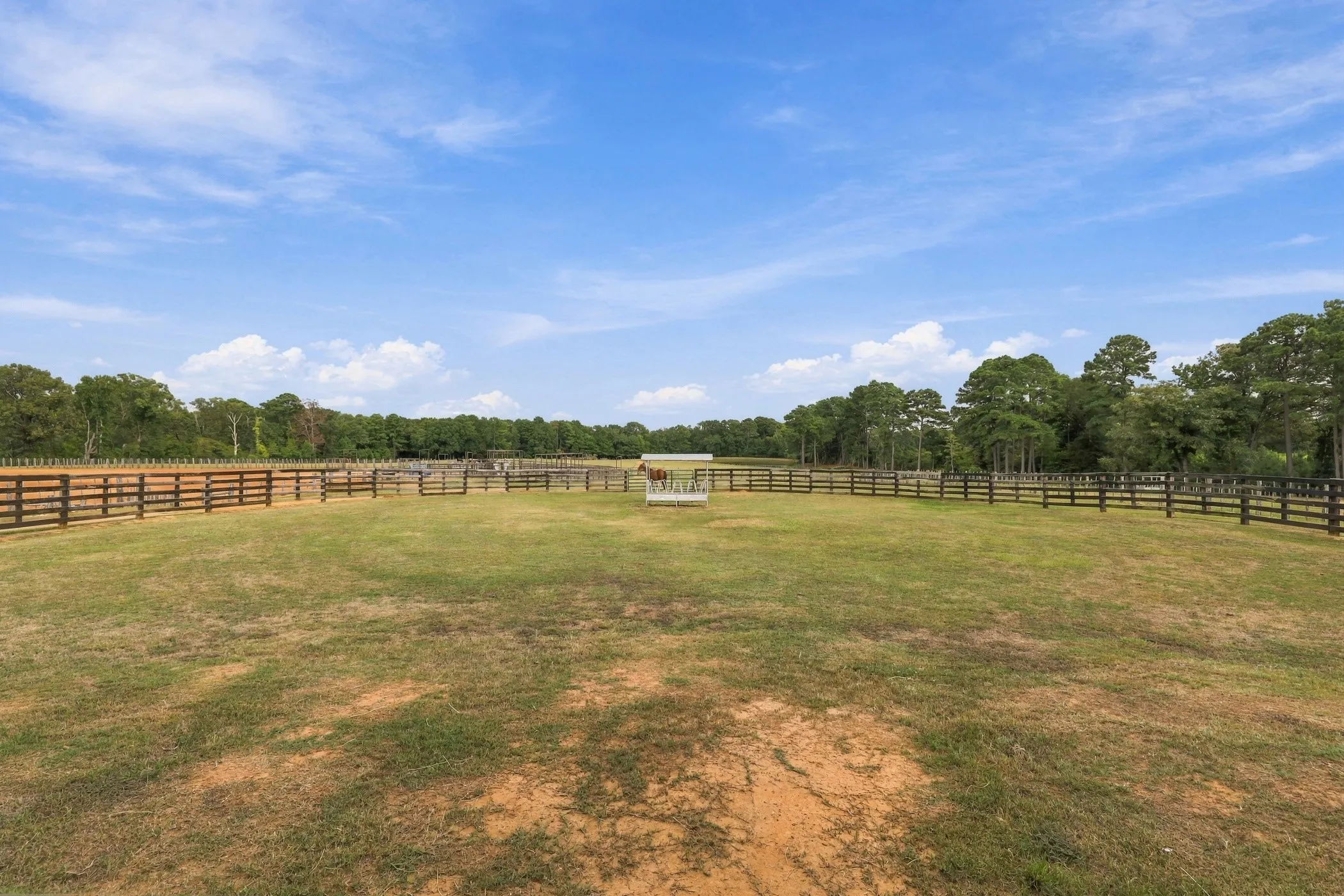 Farm For Sale in Smith County , 23241 County Road 2159, Troup, Texas 75789, 4 Bedroom, 6 Bathroom, 2 Garage spaces, 3,028 Sqft, built in 2006, mls#21396345, Real Estate Agent in Troup, Homes For Sale in Smith county, Homes For Sale in Troup, Realtor in Troup Texas, Real Estate Brokerage Independent Realty Texas, Luminita Cordes Realtor