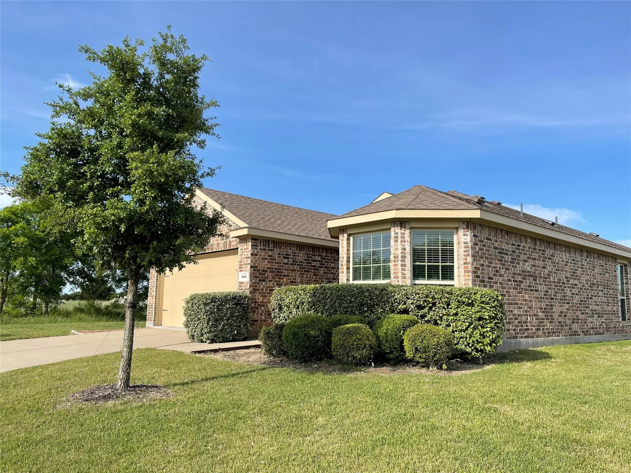 Single Family Residence For Rent in Collin County , 800 Elm Grove, Anna, Texas 75409, 3 Bedroom, 2 Bathroom, 2 Garage spaces, 1,532 Sqft, built in 2014, mls#21396362, Real Estate Agent in Anna, Homes For Rent in Collin county, Homes For Rent in Anna, Realtor in Anna Texas, Real Estate Brokerage Independent Realty Texas, Luminita Cordes Realtor