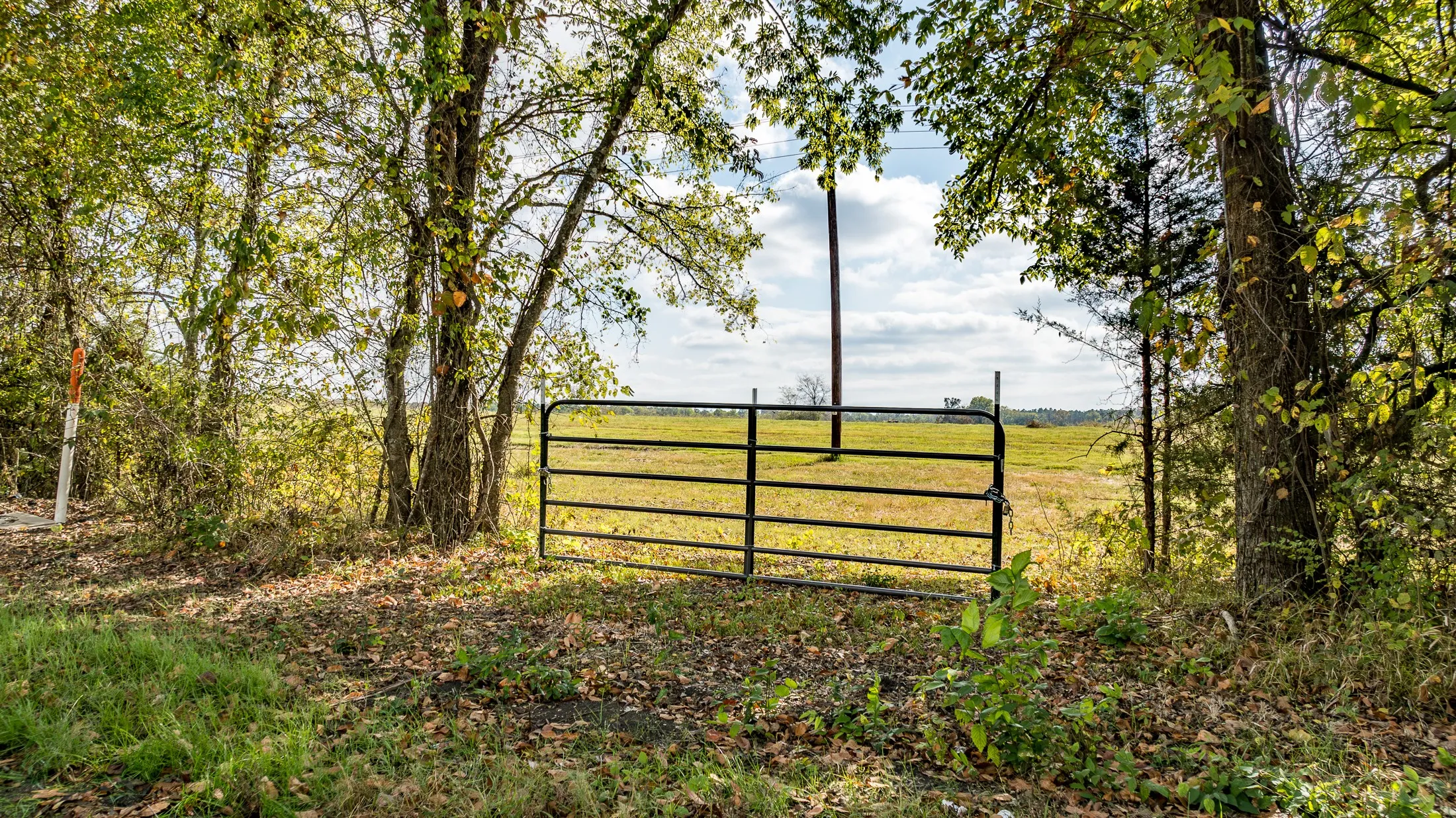 Metal gate providing entry