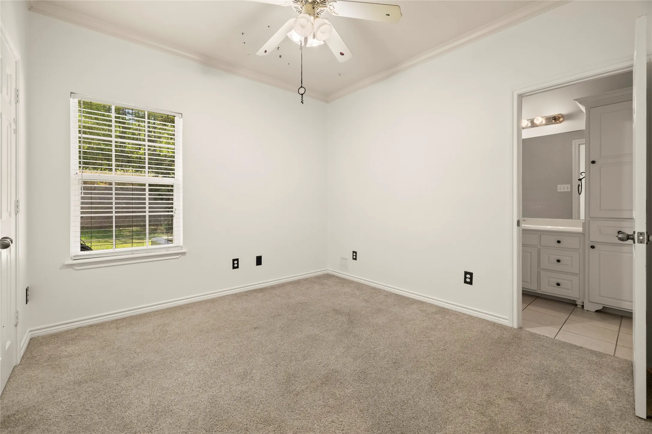 Carpeted room with a window, ceiling fan, and crown molding