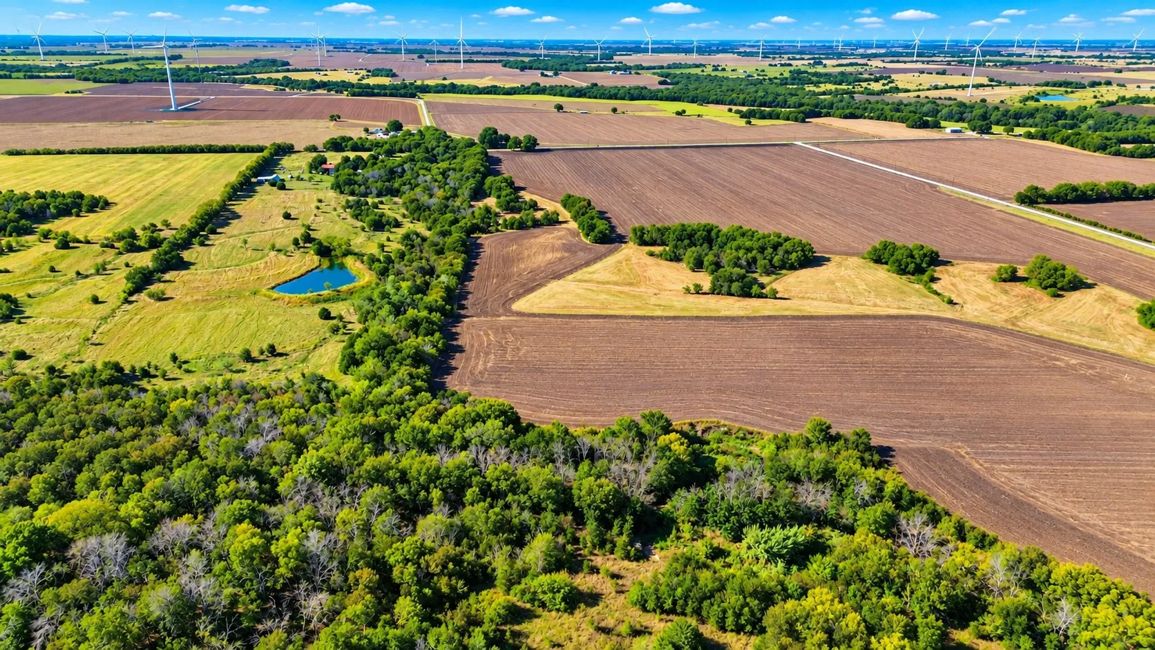 Ranch For Sale in Hill County , 1792 FM 1946, Bynum, Texas 76631, 0, 0, Garage spaces, 0 Sqft, built in 0, mls#21396451, Real Estate Agent in Bynum, Homes For Sale in Hill county, Homes For Sale in Bynum, Realtor in Bynum Texas, Real Estate Brokerage Independent Realty Texas, Luminita Cordes Realtor