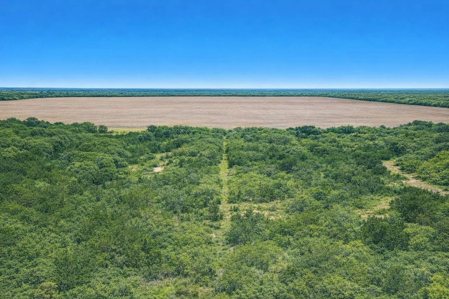 Unimproved Land For Sale in Jones County , 0 County Road 136, Hamlin, Texas 79520, 0, 0, Garage spaces, 0 Sqft, built in 0, mls#21396208, Real Estate Agent in Hamlin, Homes For Sale in Jones county, Homes For Sale in Hamlin, Realtor in Hamlin Texas, Real Estate Brokerage Independent Realty Texas, Luminita Cordes Realtor