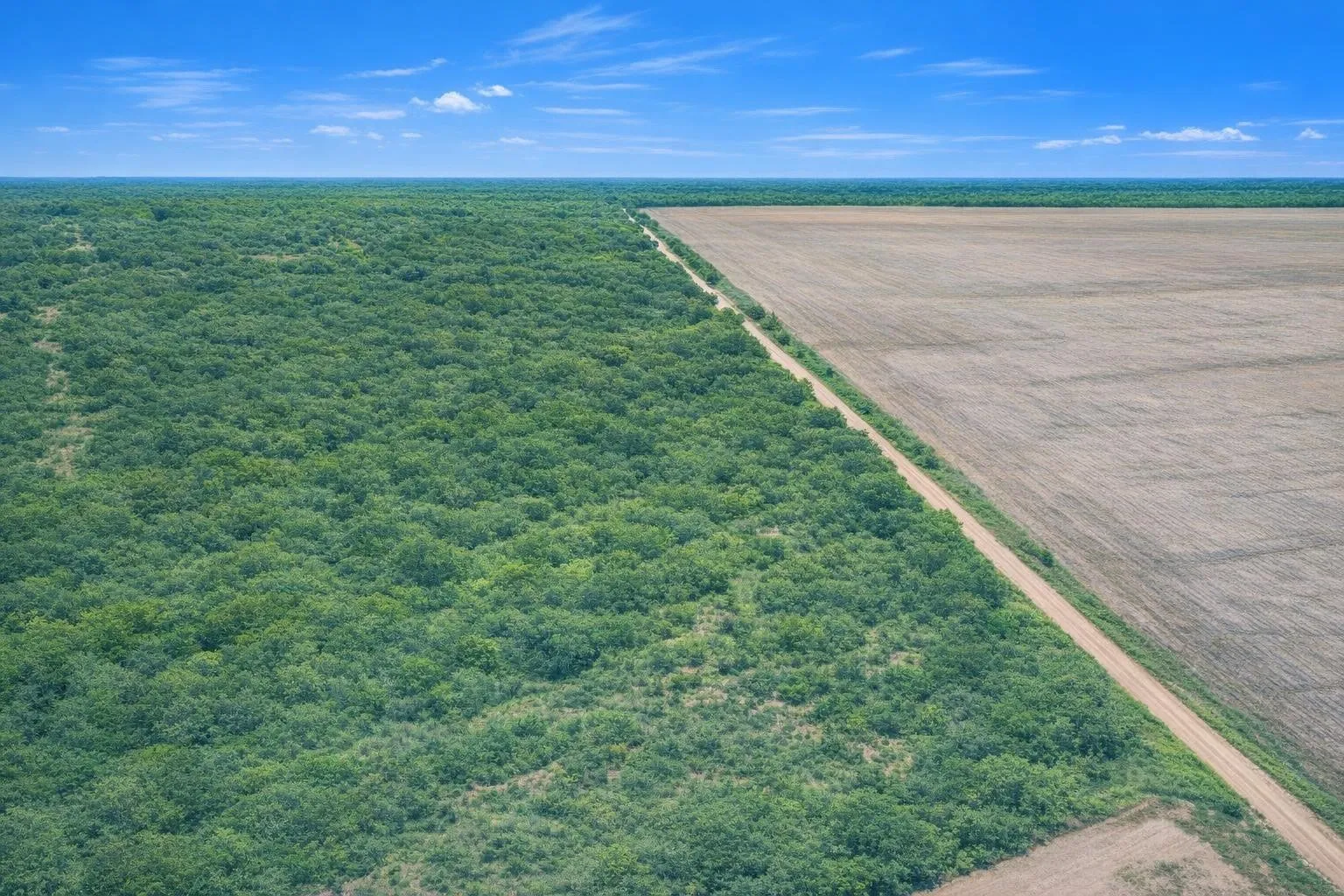 Unimproved Land For Sale in Jones County , 0 County Road 136, Hamlin, Texas 79520, 0, 0, Garage spaces, 0 Sqft, built in 0, mls#21396208, Real Estate Agent in Hamlin, Homes For Sale in Jones county, Homes For Sale in Hamlin, Realtor in Hamlin Texas, Real Estate Brokerage Independent Realty Texas, Luminita Cordes Realtor