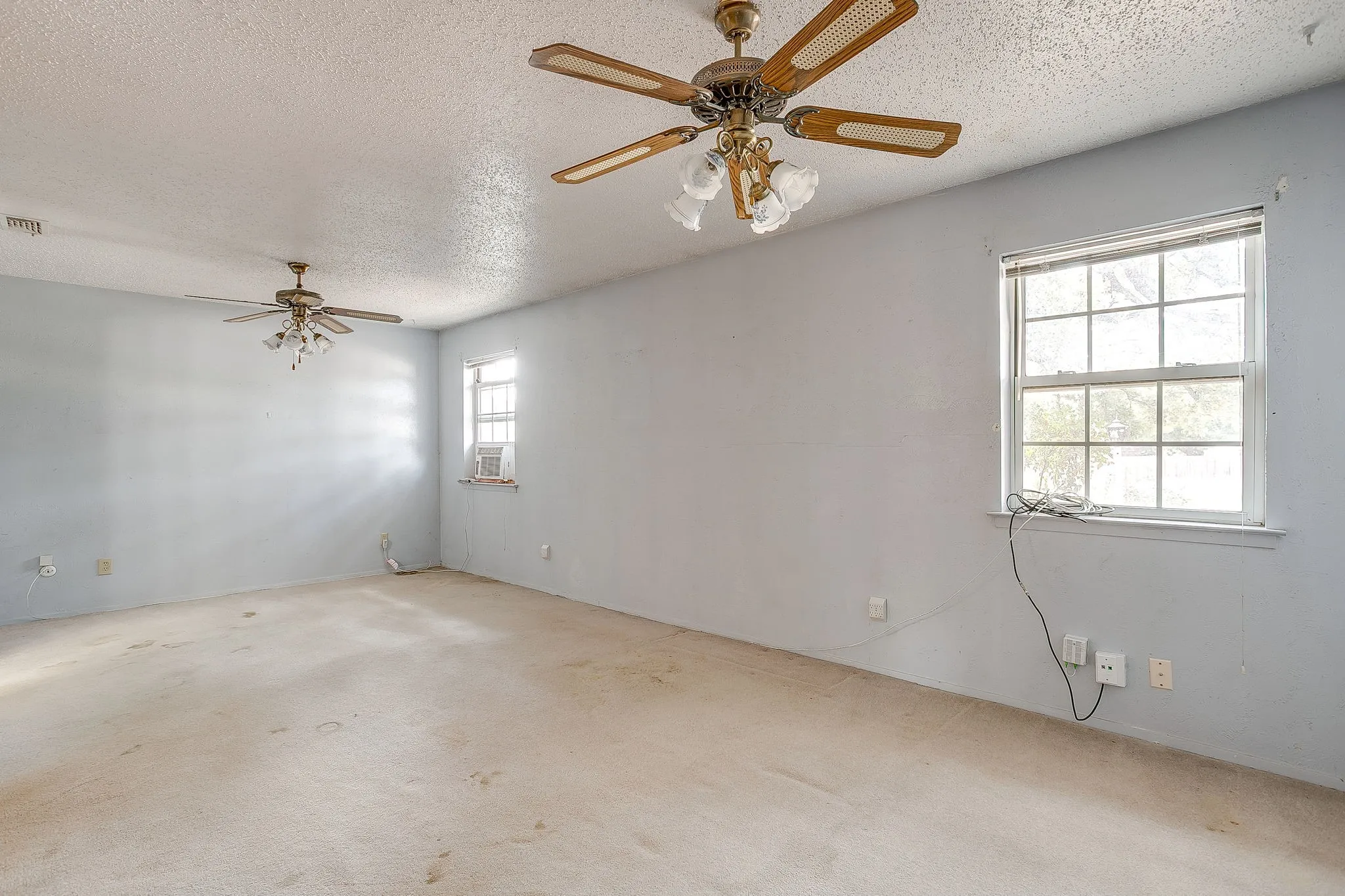 Spacious room with two ceiling fans, multiple windows, and light-colored carpeting
