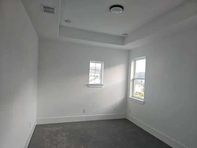 Tray ceiling with recessed lighting and a flush mount fixture
