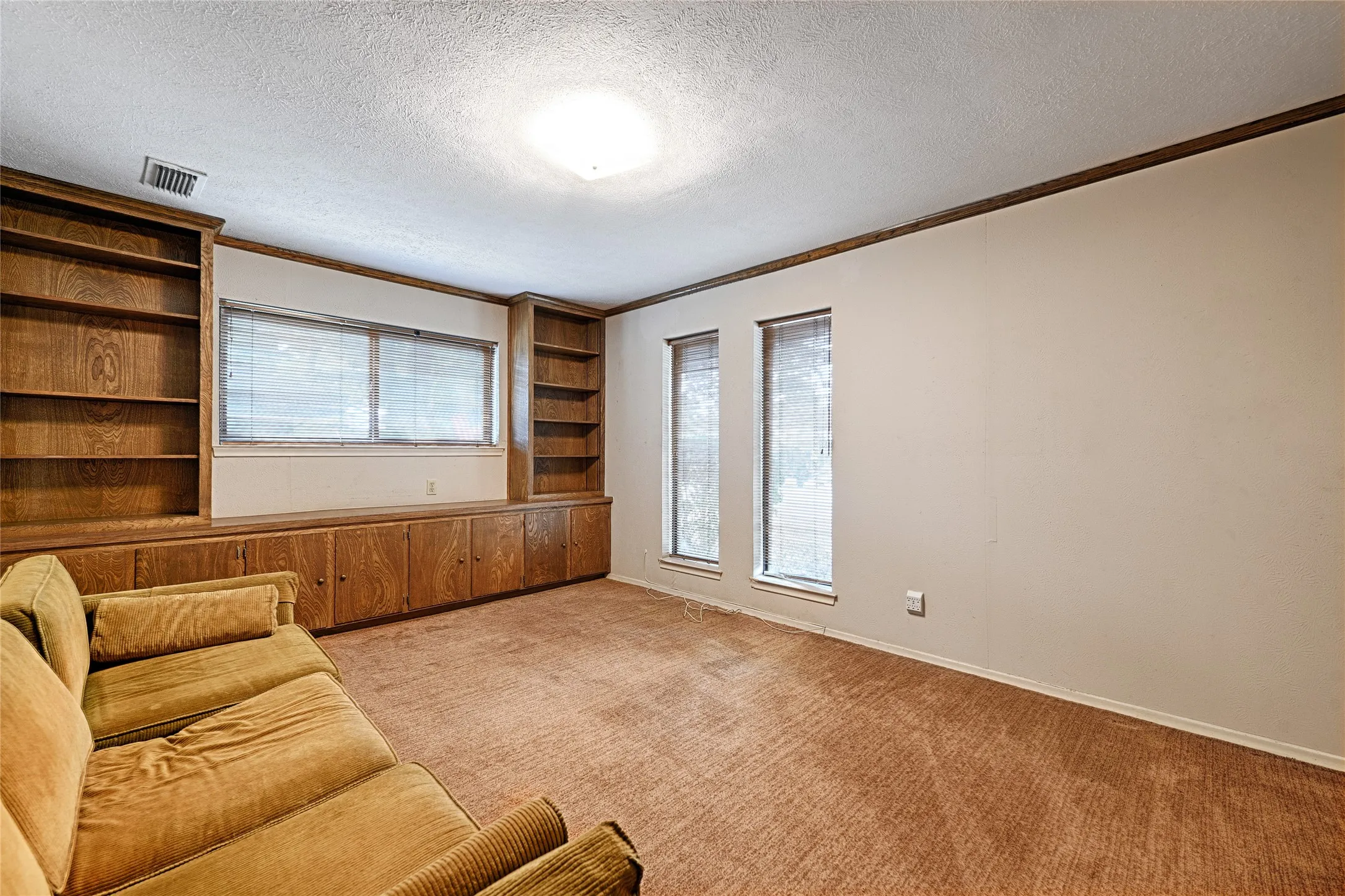Built-in wood shelving and cabinetry, three windows, and carpet flooring