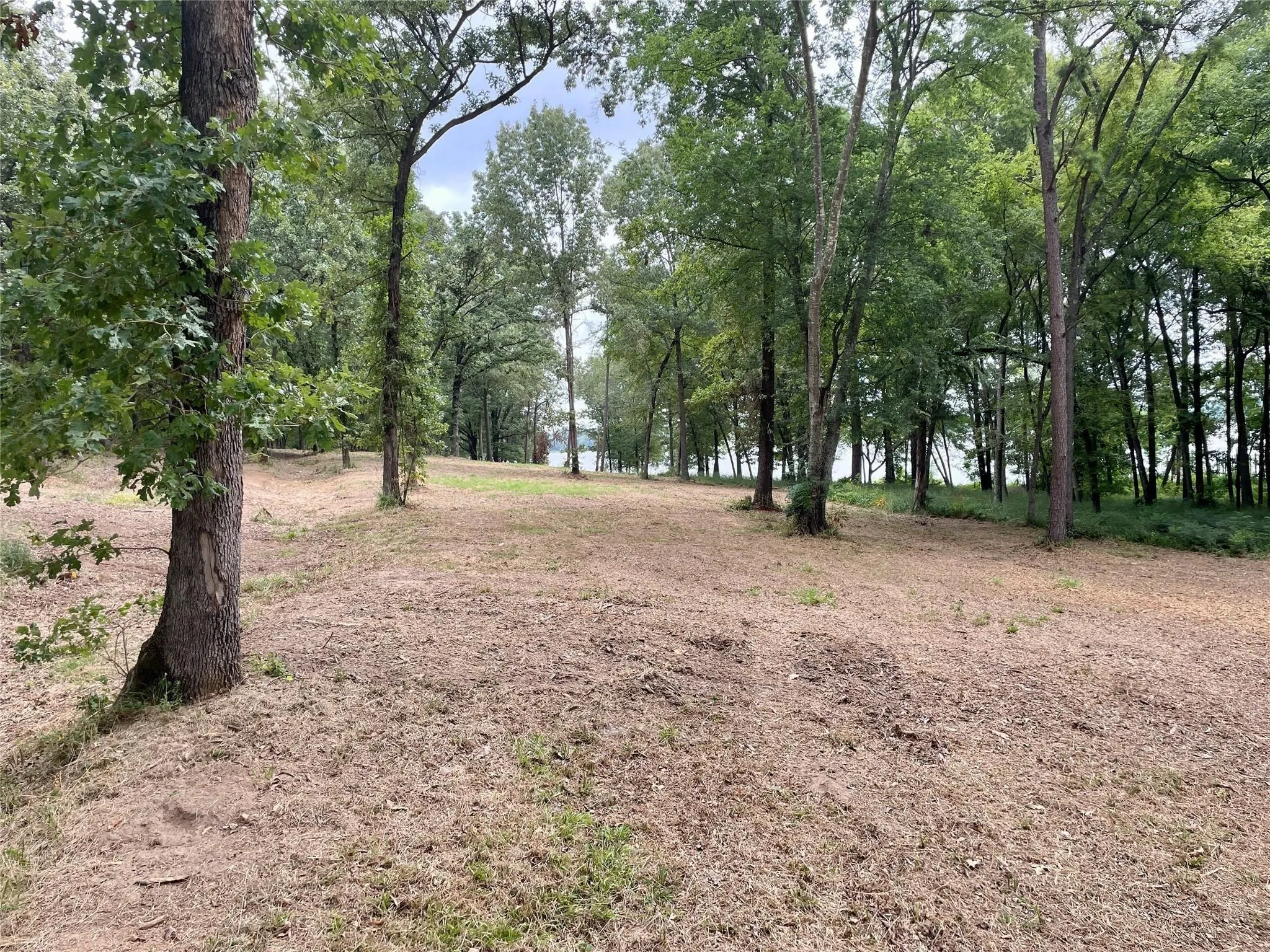 Unimproved Land For Sale in Franklin (TX) County , 101 Sterling Shores Drive, Scroggins, Texas 75480, 0, 0, Garage spaces, 0 Sqft, built in 0, mls#21396557, Real Estate Agent in Scroggins, Homes For Sale in Franklin (TX) county, Homes For Sale in Scroggins, Realtor in Scroggins Texas, Real Estate Brokerage Independent Realty Texas, Luminita Cordes Realtor