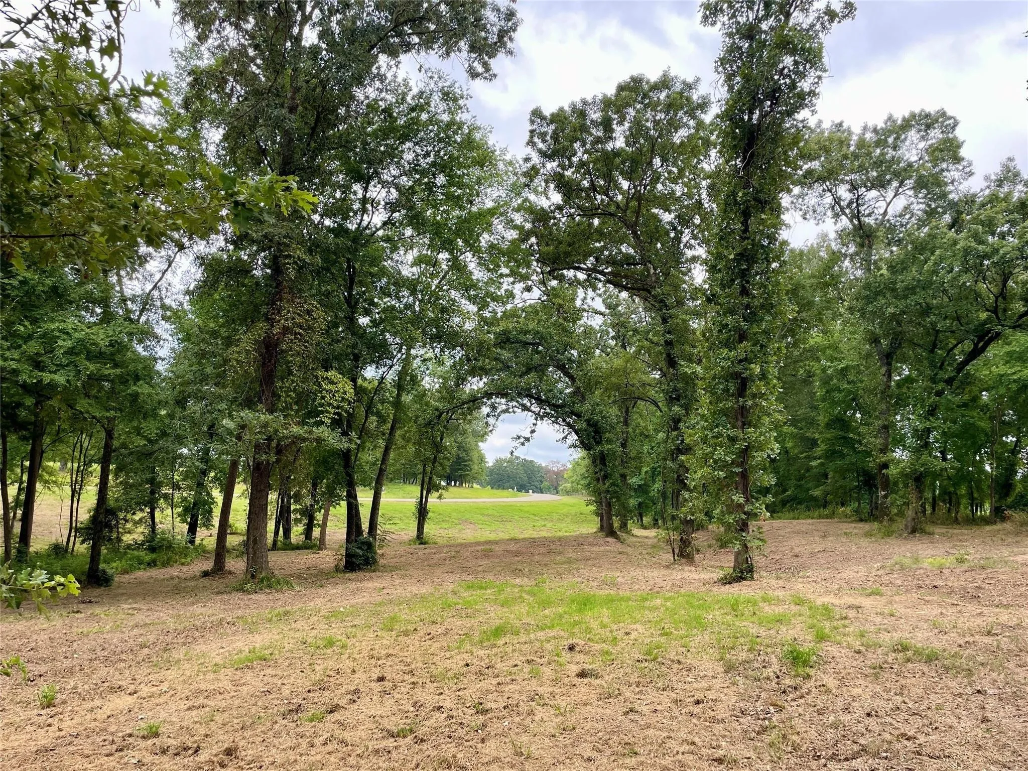 Unimproved Land For Sale in Franklin (TX) County , 101 Sterling Shores Drive, Scroggins, Texas 75480, 0, 0, Garage spaces, 0 Sqft, built in 0, mls#21396557, Real Estate Agent in Scroggins, Homes For Sale in Franklin (TX) county, Homes For Sale in Scroggins, Realtor in Scroggins Texas, Real Estate Brokerage Independent Realty Texas, Luminita Cordes Realtor